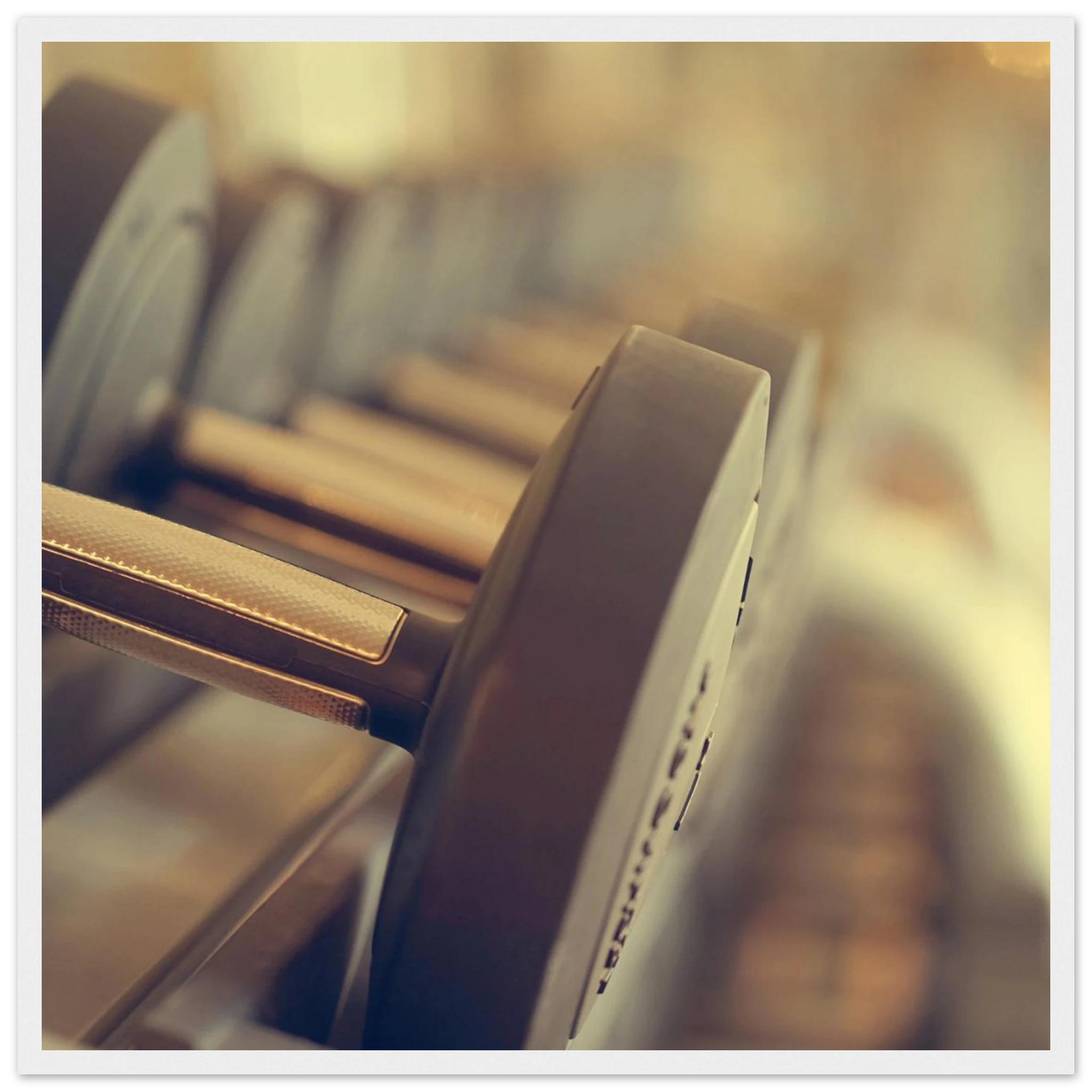 ee6b93de-ba53-4fcc-9597-54f7209c1152