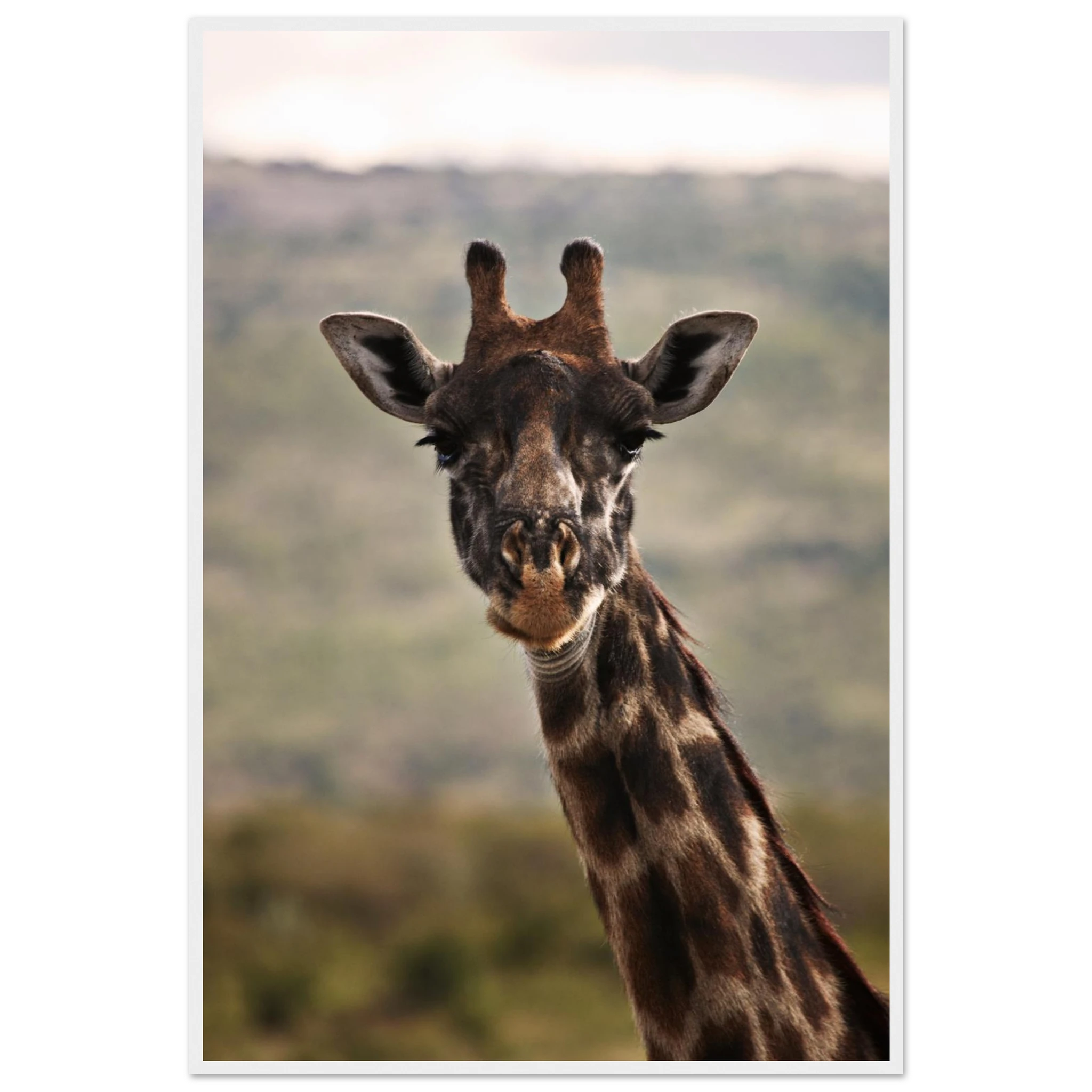 ee794b9b-ad84-4554-817e-570a7d236240