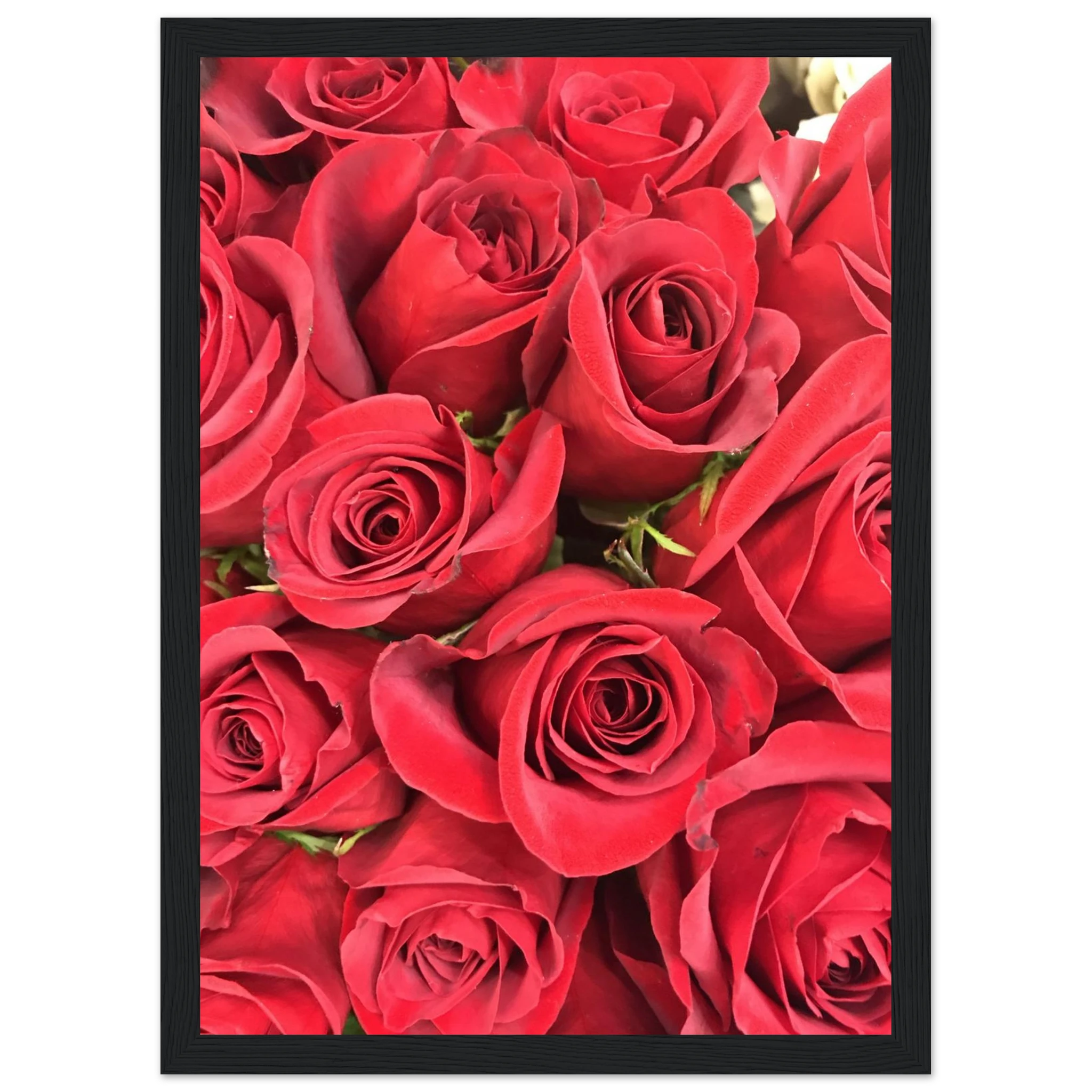 ee9151db-dbf4-4c0b-ba5c-c9127f479380