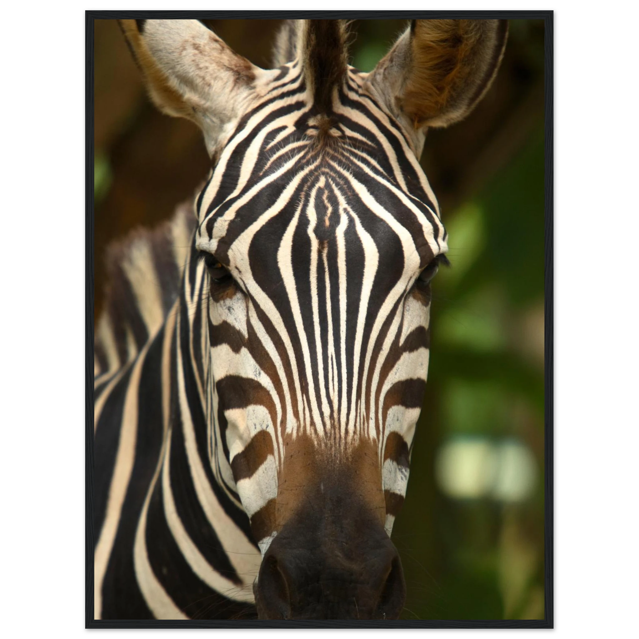 ee98565d-983f-434d-8e83-95ec49279400