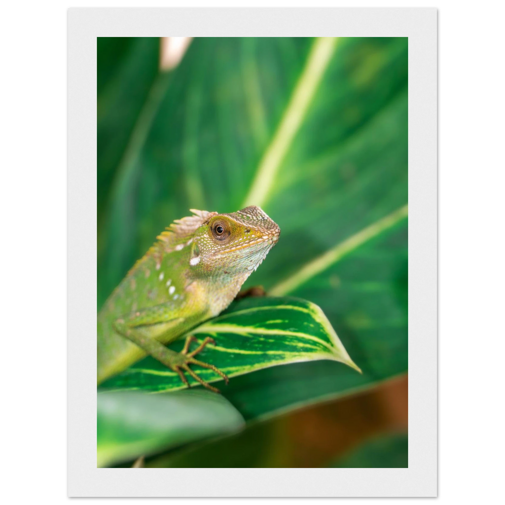 ee9e0be4-f178-4485-a2d2-44f9482d48a4