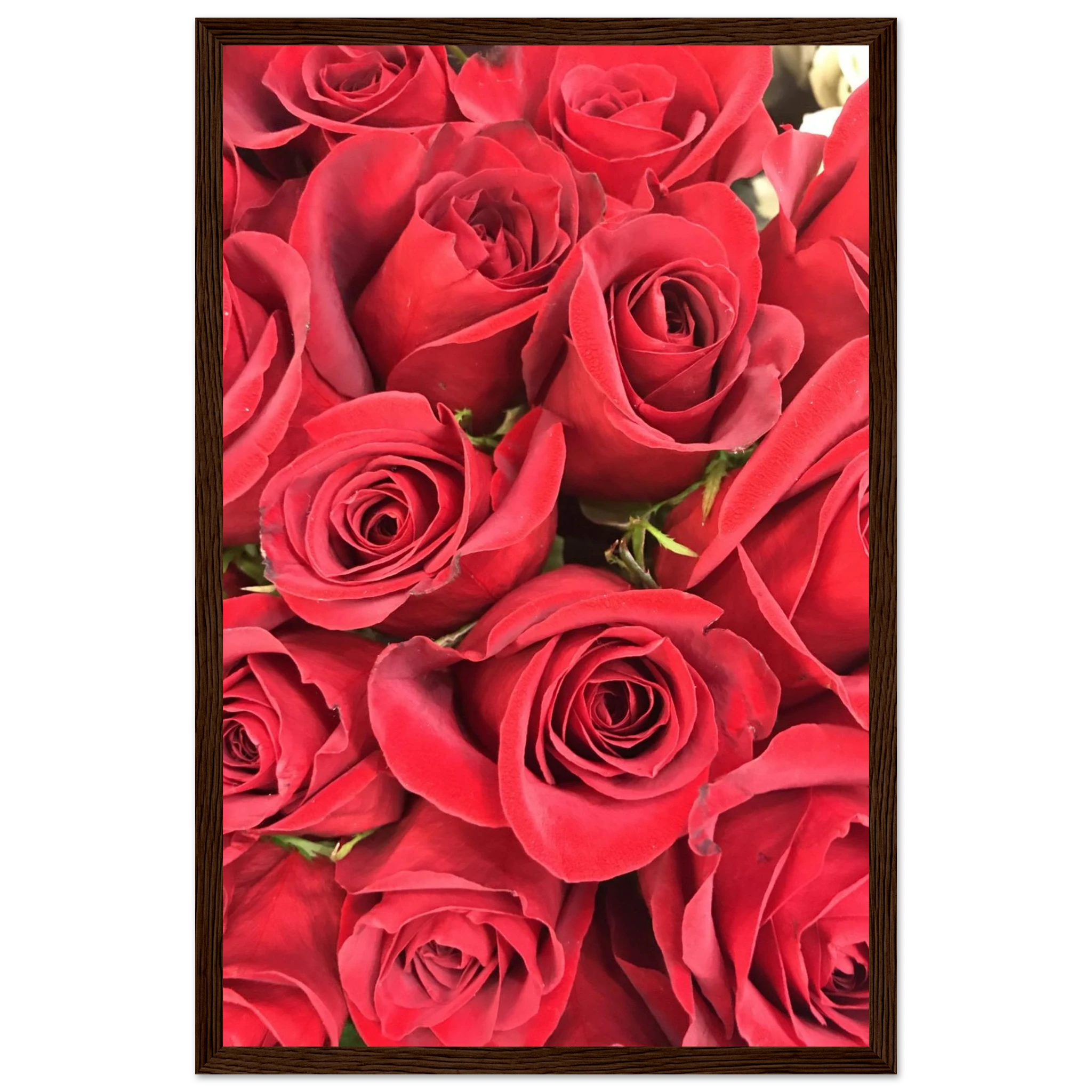 eebeaddd-adb2-40f3-908d-eaffdb307e02