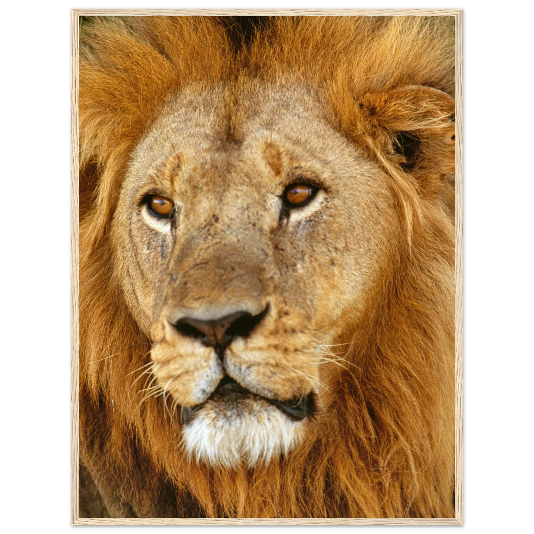 eecbcad7-4735-43b8-ae6b-bae2b45211df