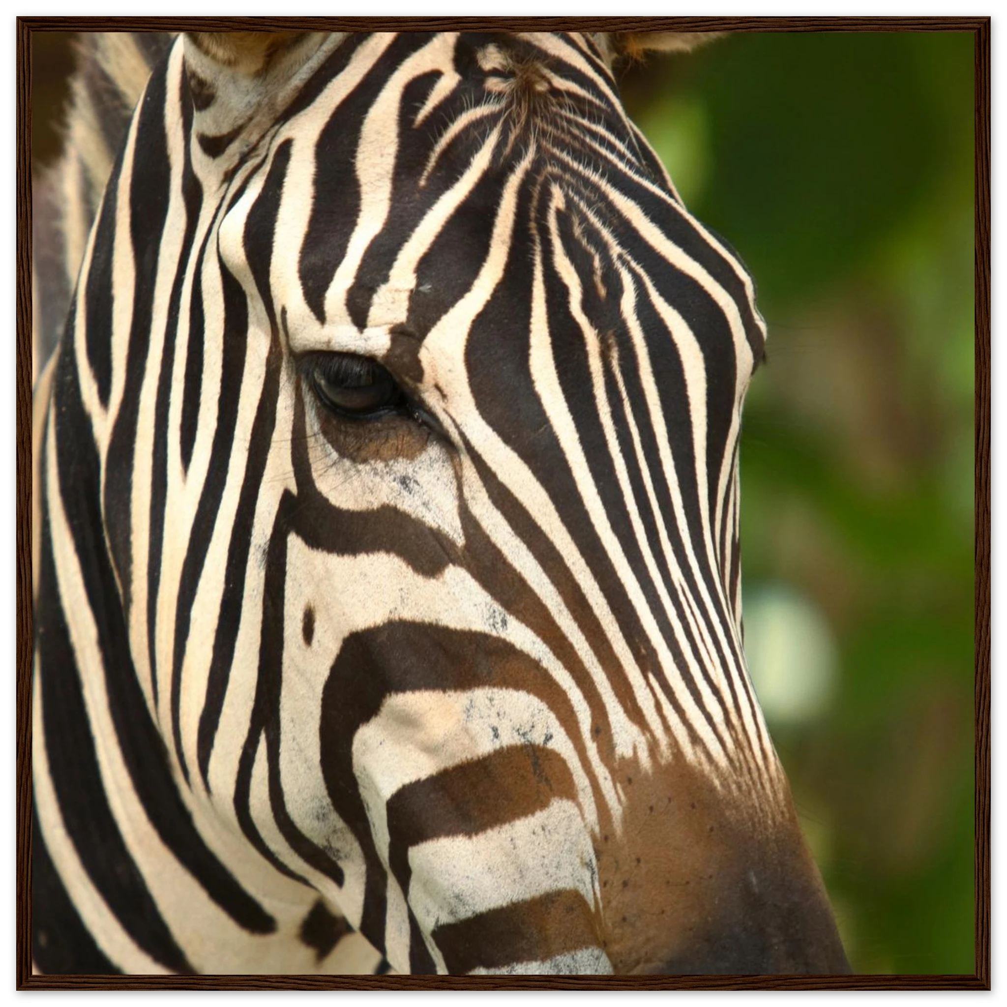 eee15fb2-3b99-4da4-92e5-e6929aeae37e