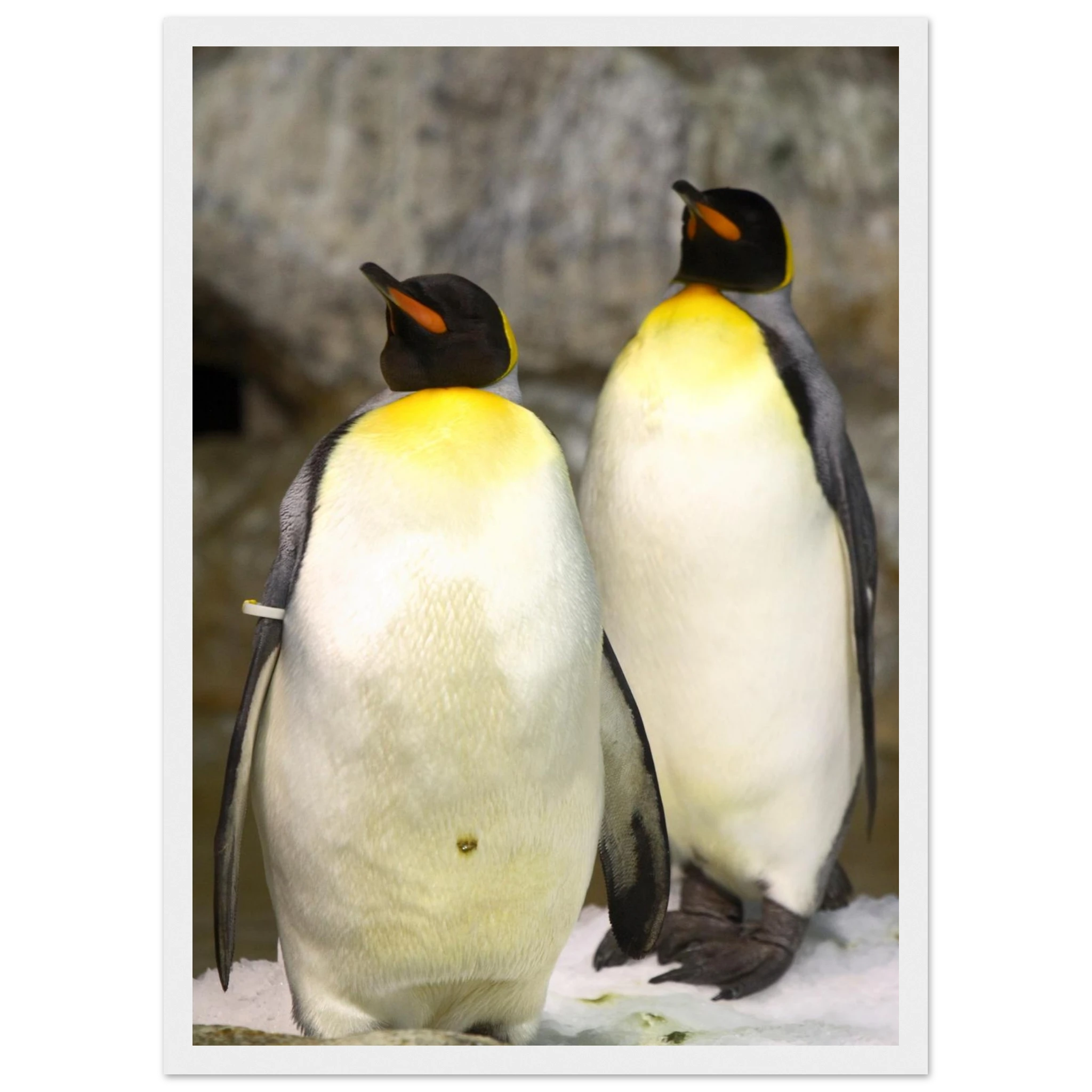 eefc216b-38f1-4c7f-bf3f-442b9102cd4f