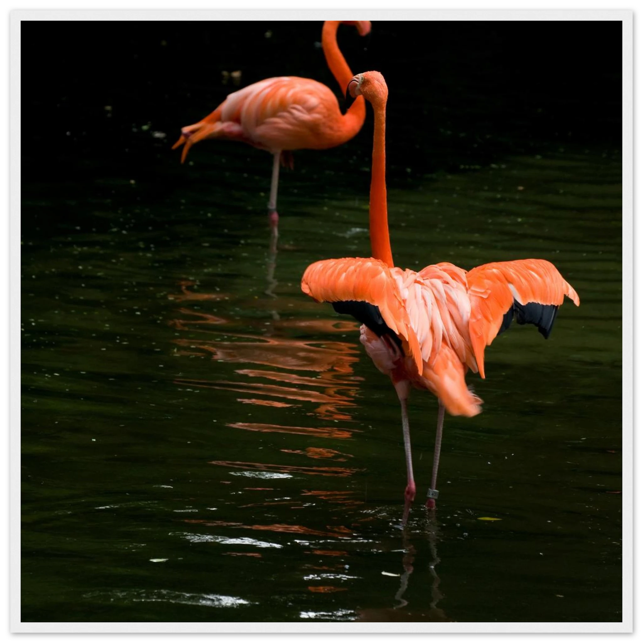 ef0aa22a-0422-44cf-ac06-f3e1cb99daa2