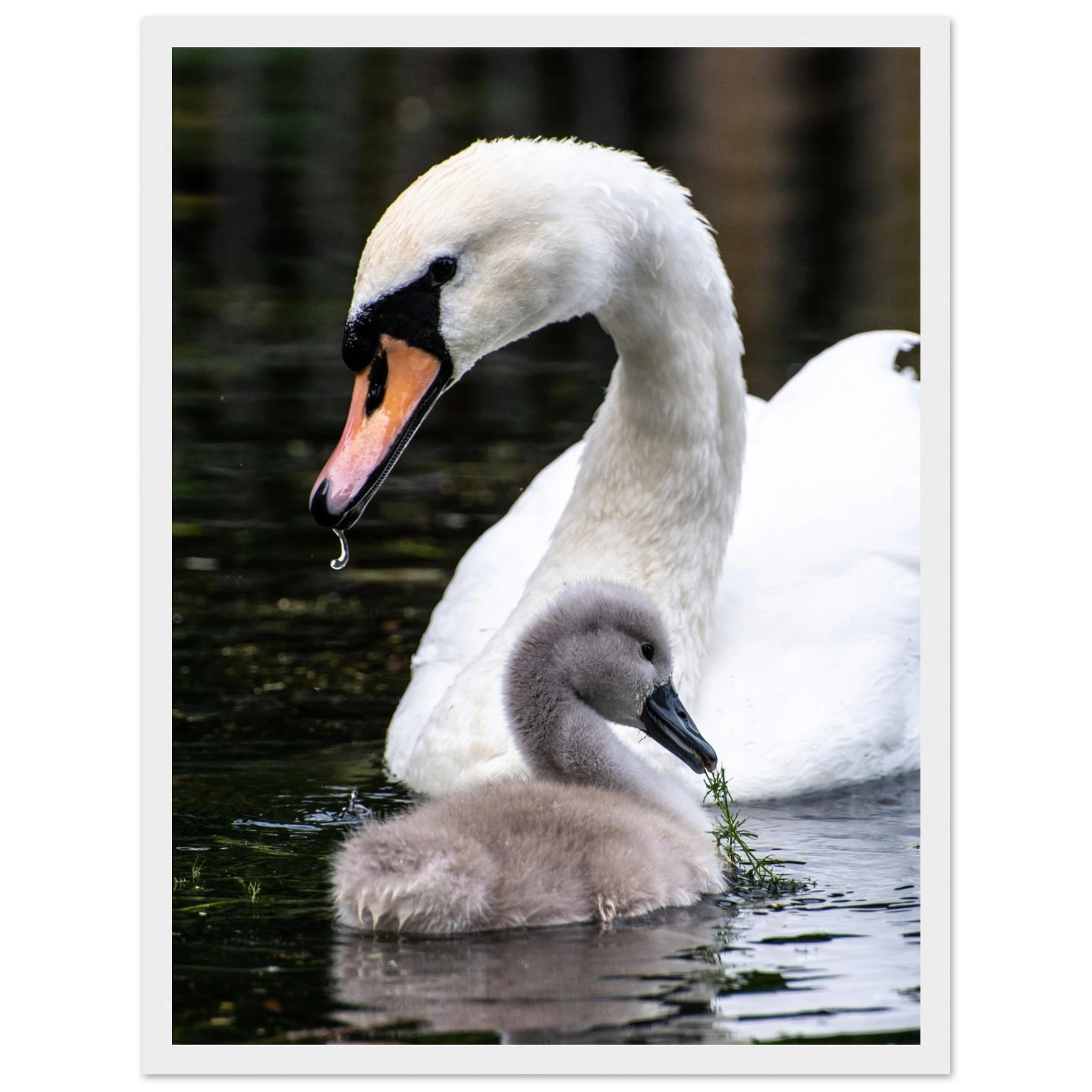 ef1e550e-3543-4bdd-910f-f4f608eb0241