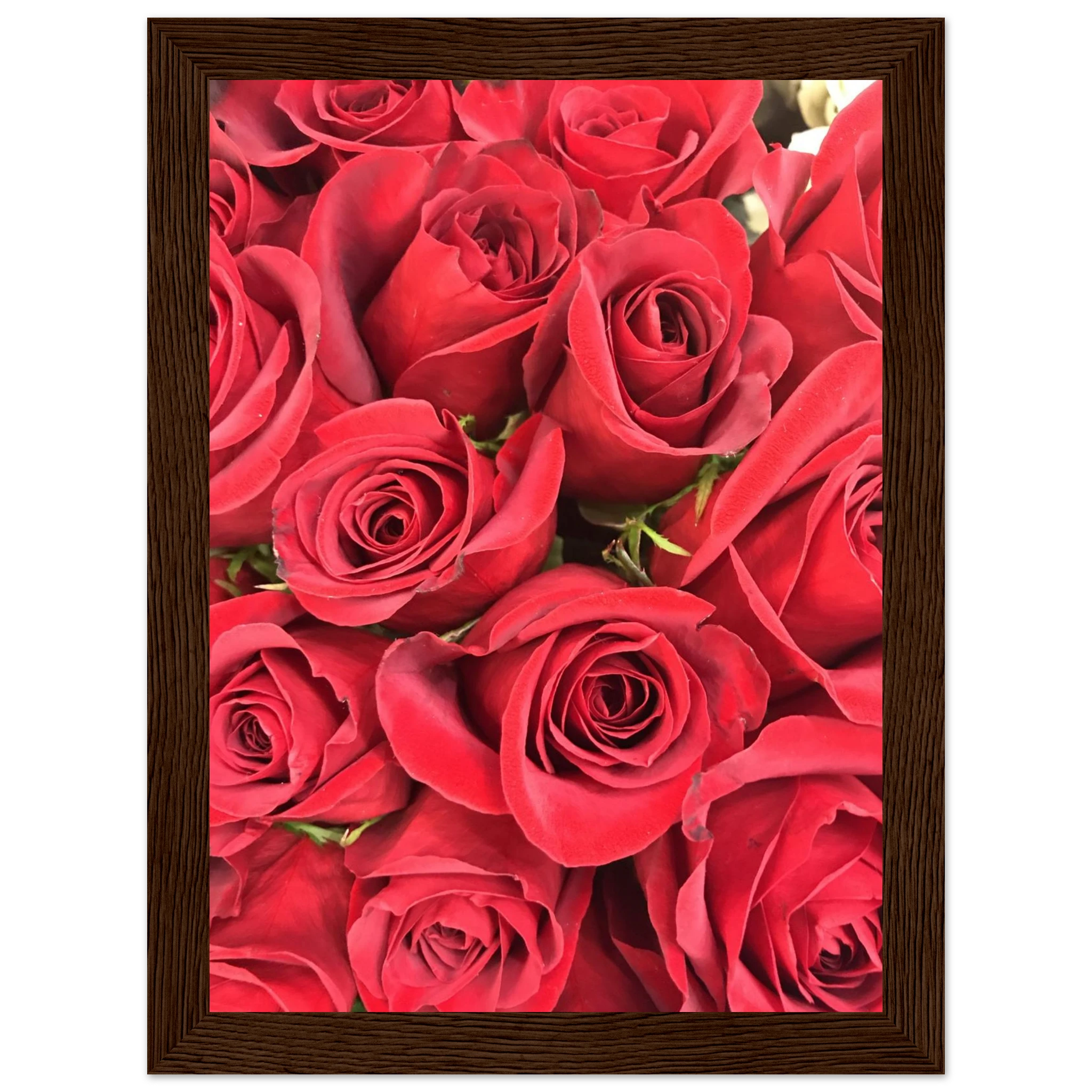 ef6148dd-e364-49ef-a177-16663b649476