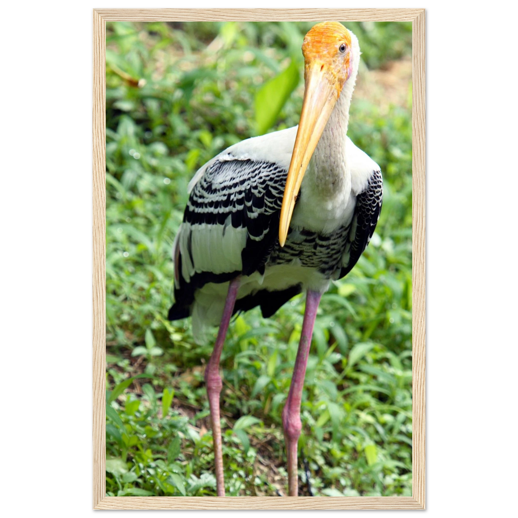 efba20af-390c-48bc-855d-1cc8f47dff0c