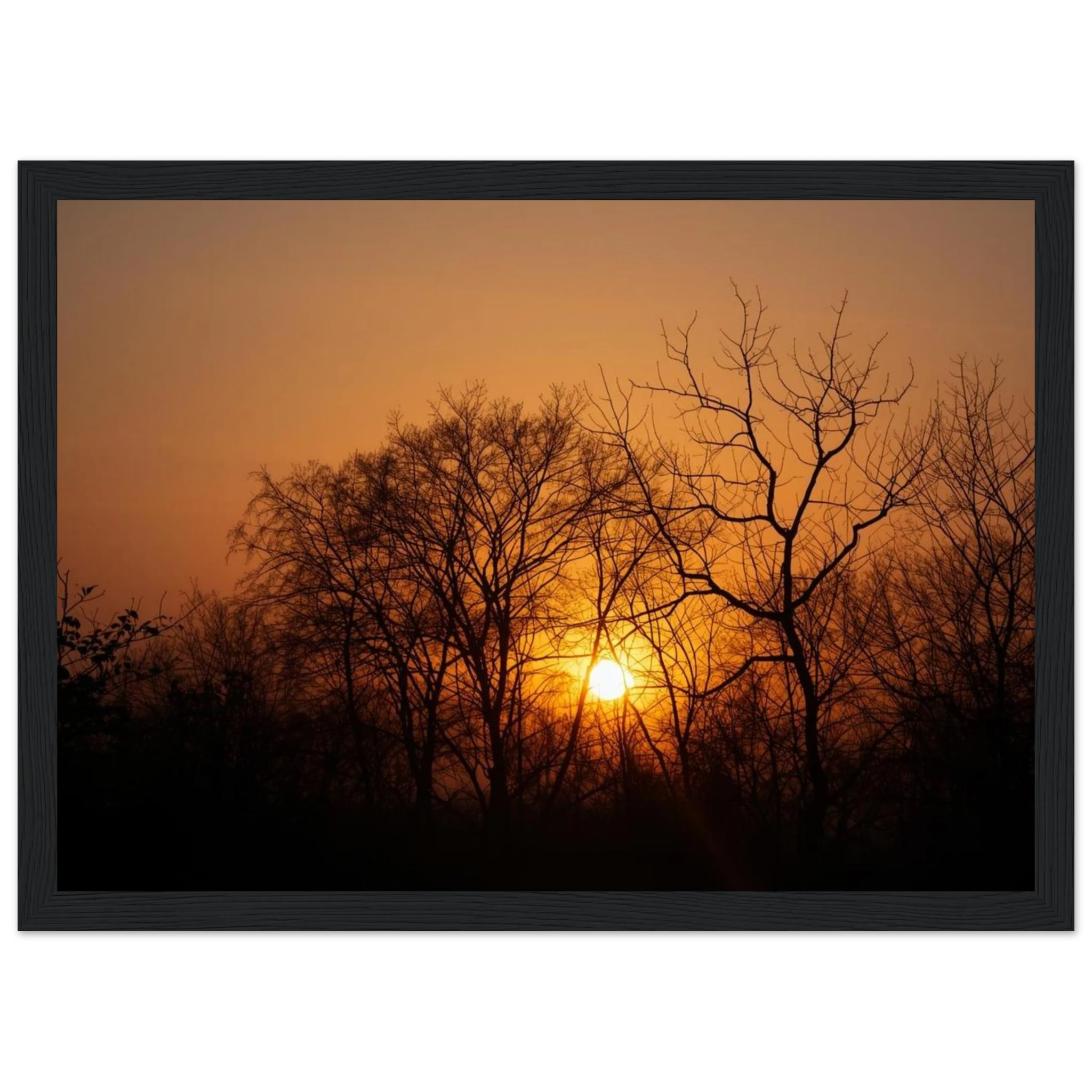 efcd1c42-398e-45c3-9992-6c4ac924f591