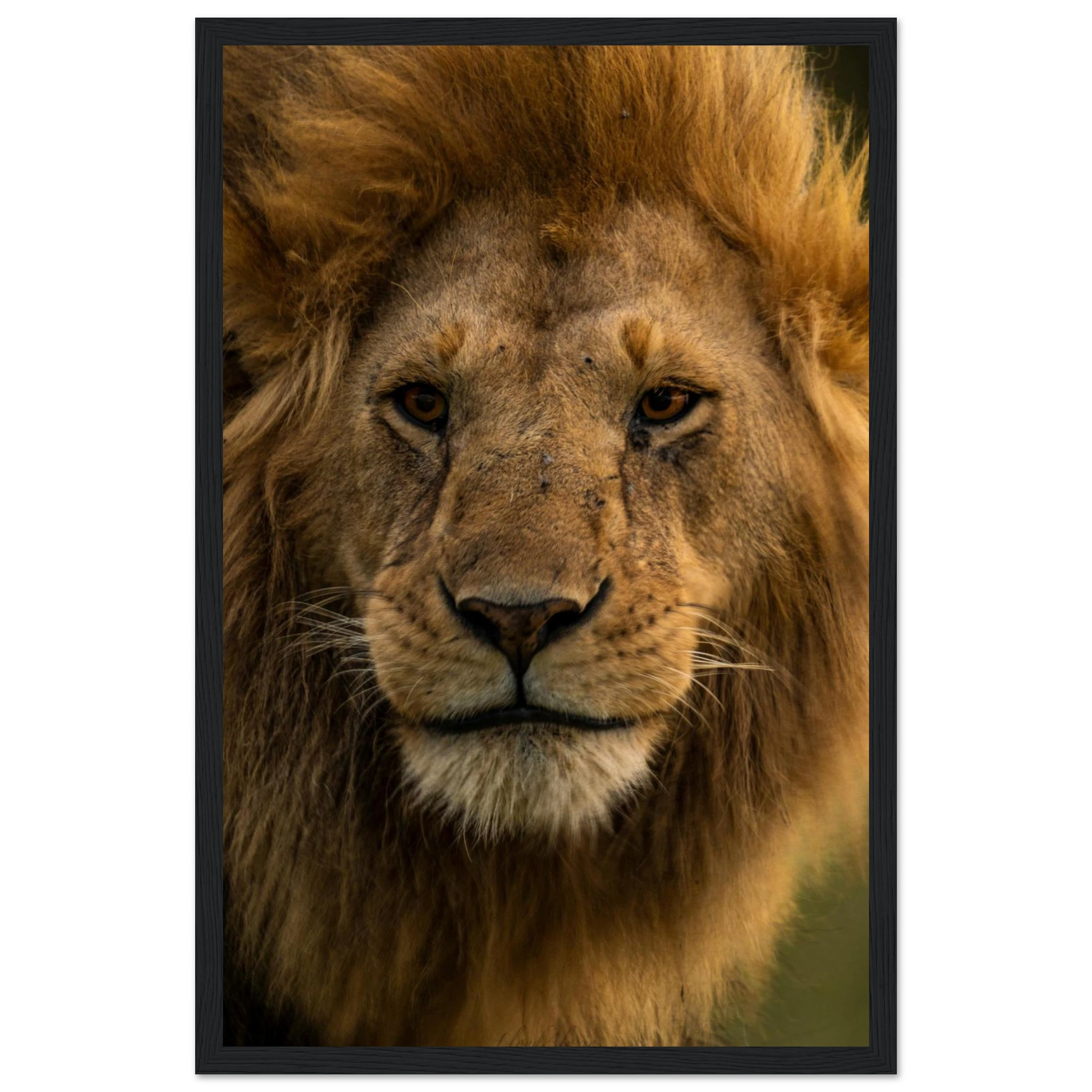 efe49a19-3a26-4d9d-8fa6-7c328a08360a