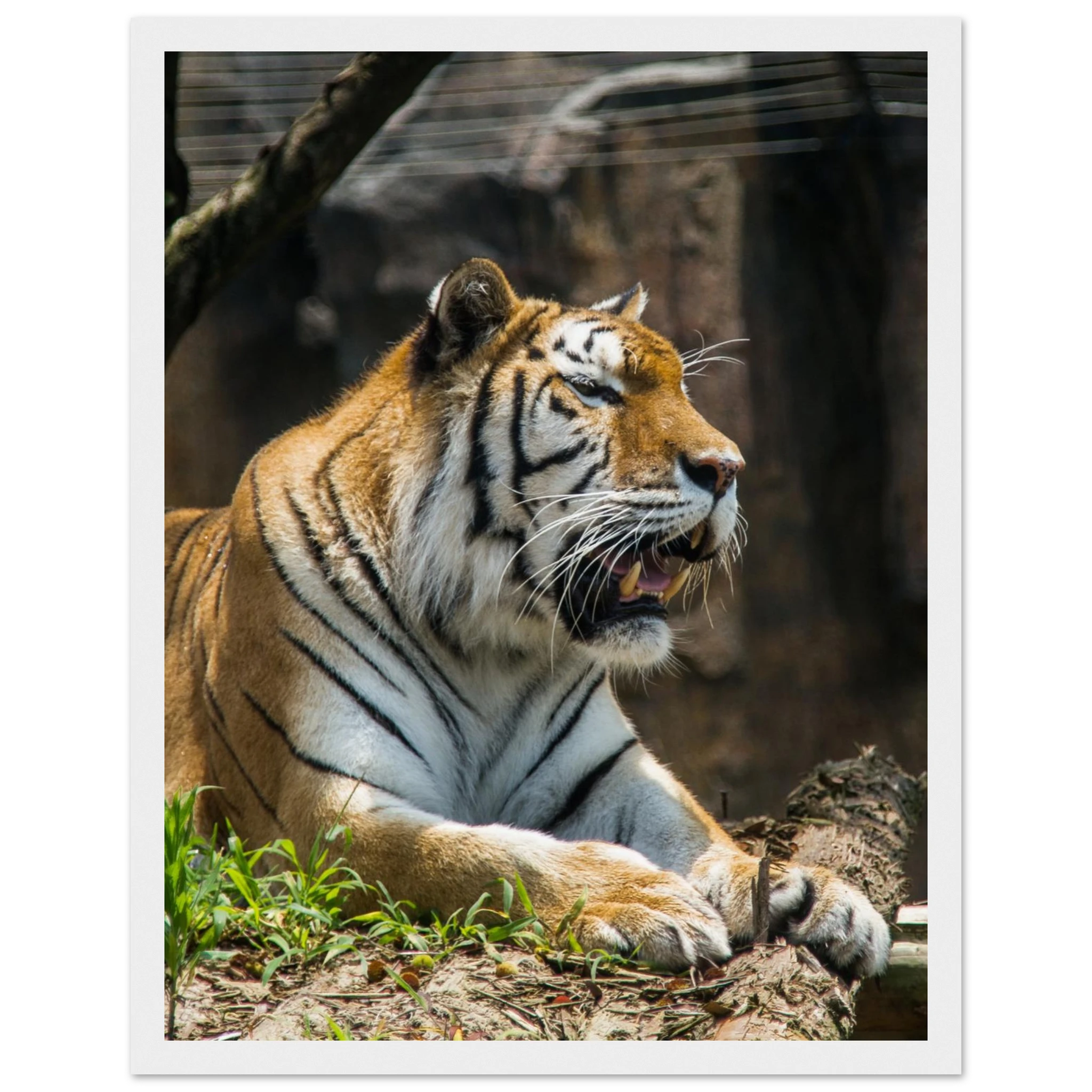 eff383a1-f8a3-44b2-9a9a-8a86e696a6c8