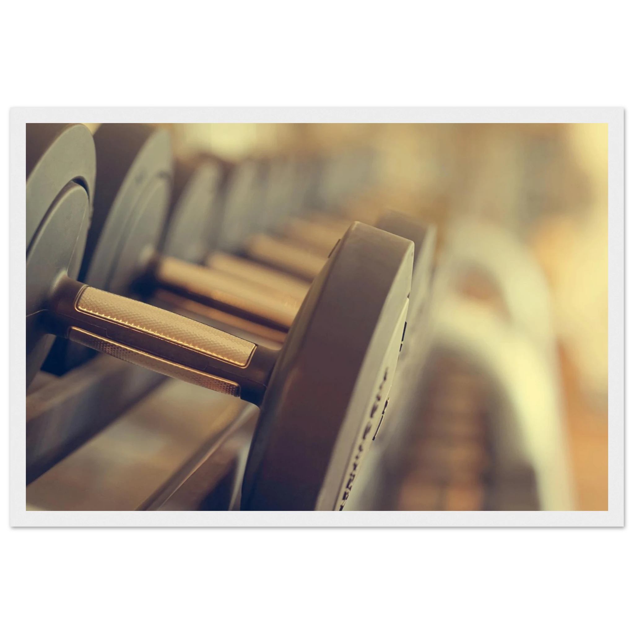 eff987b1-428e-420e-ad20-d57dd61f7dab