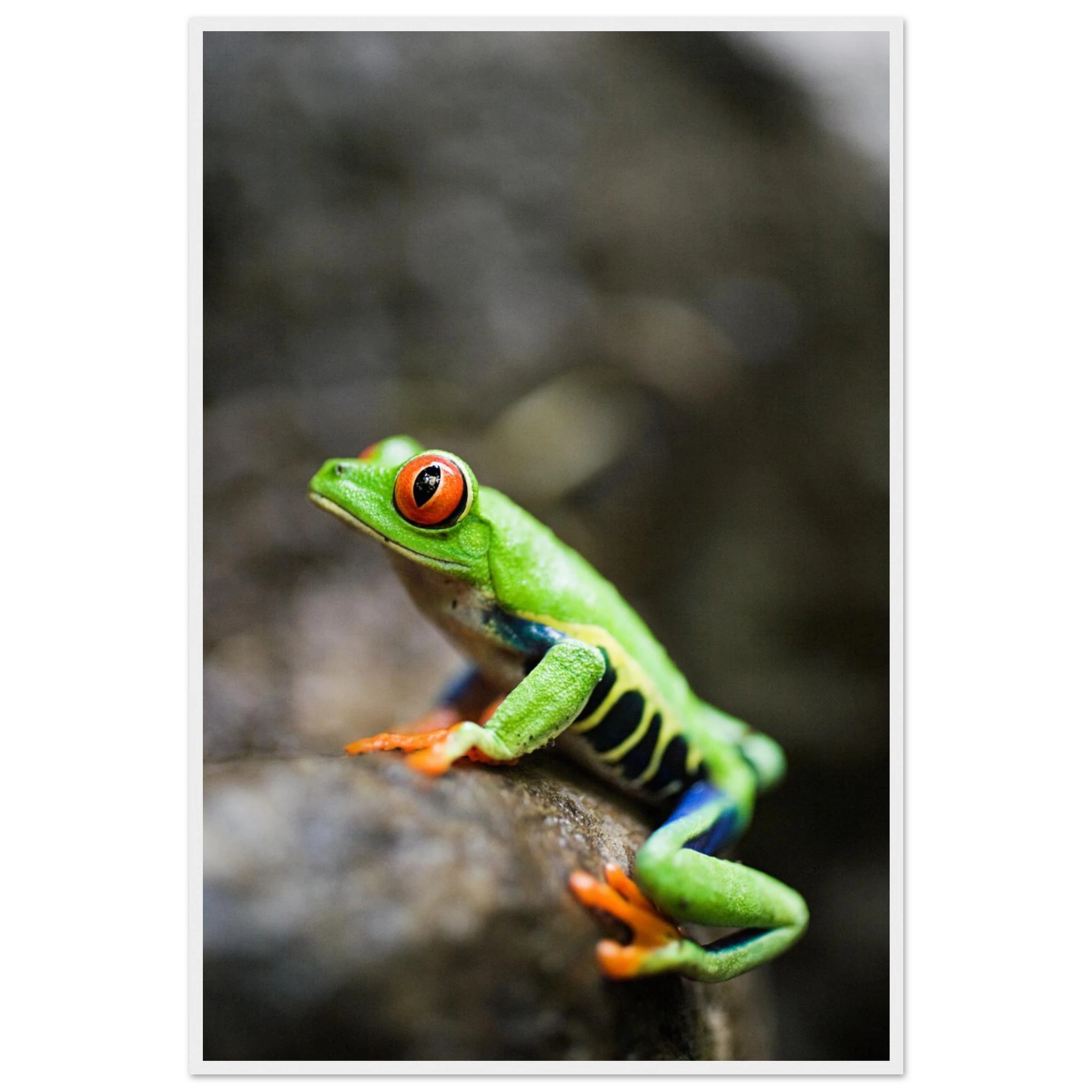 f0594c63-a69a-4a42-99c4-25c1b368e3e1