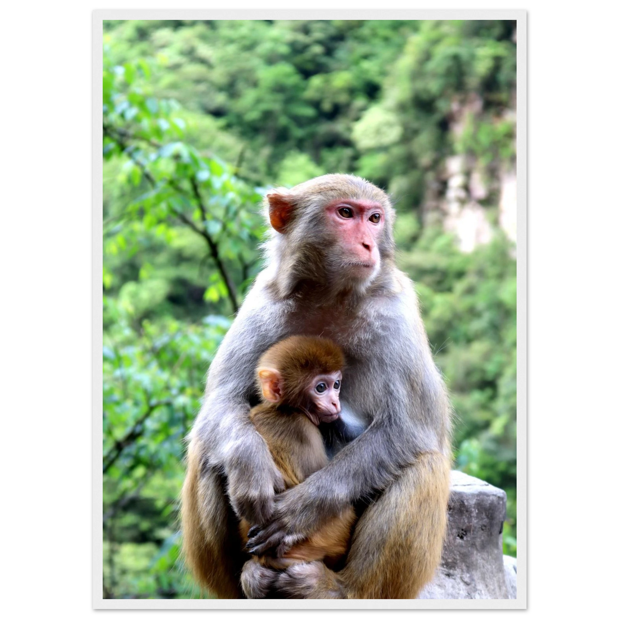 f0646611-591e-4075-95f1-111234b62ddd