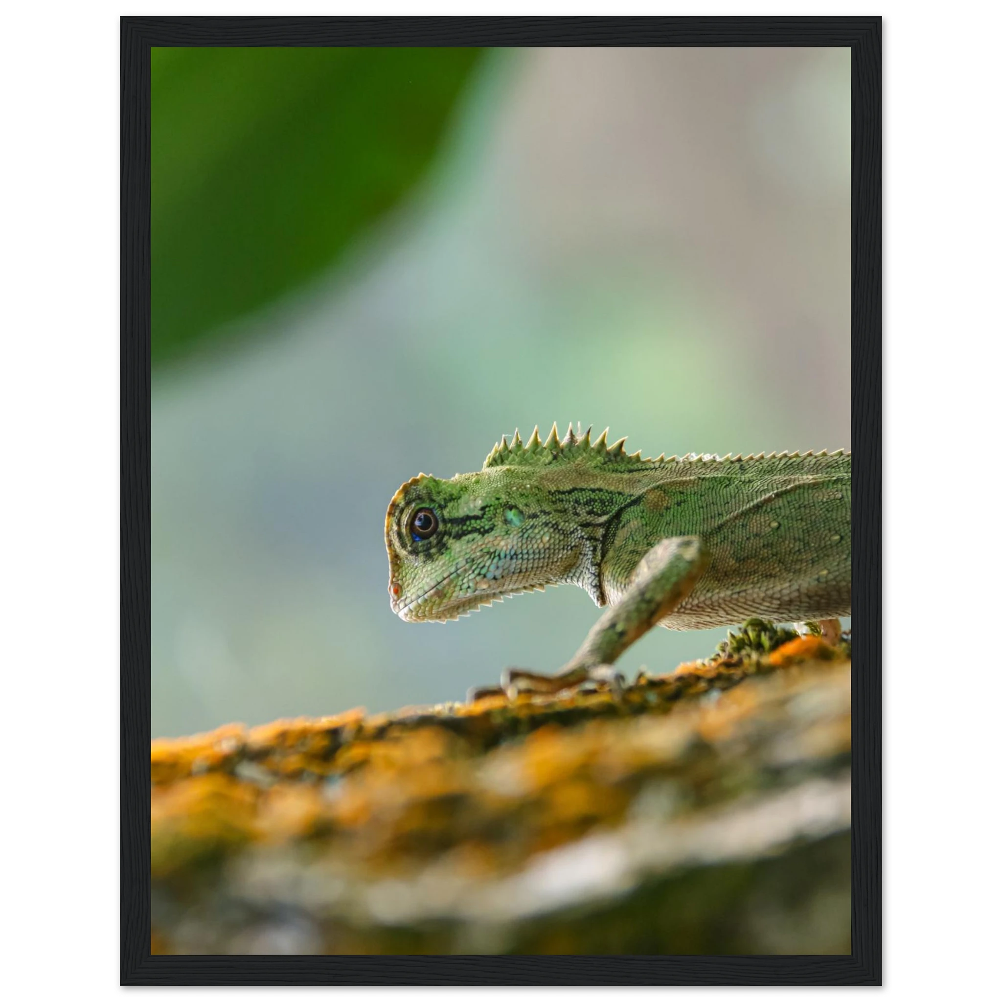 f082e1c7-82ea-4ab8-b89a-e74938ae4b7c