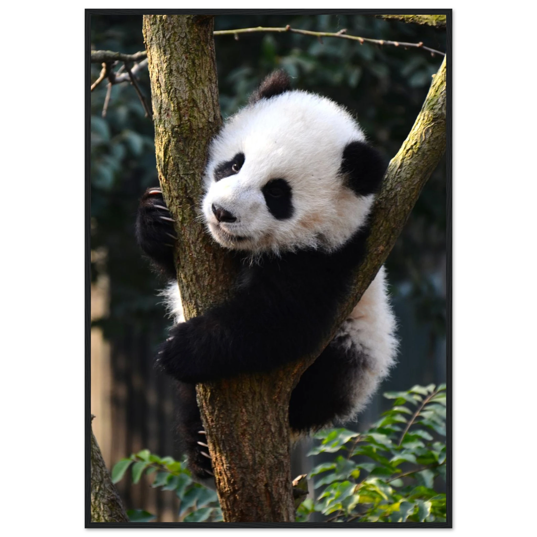 f09035f8-e9c3-4b5d-8cbd-7cf77f64244c