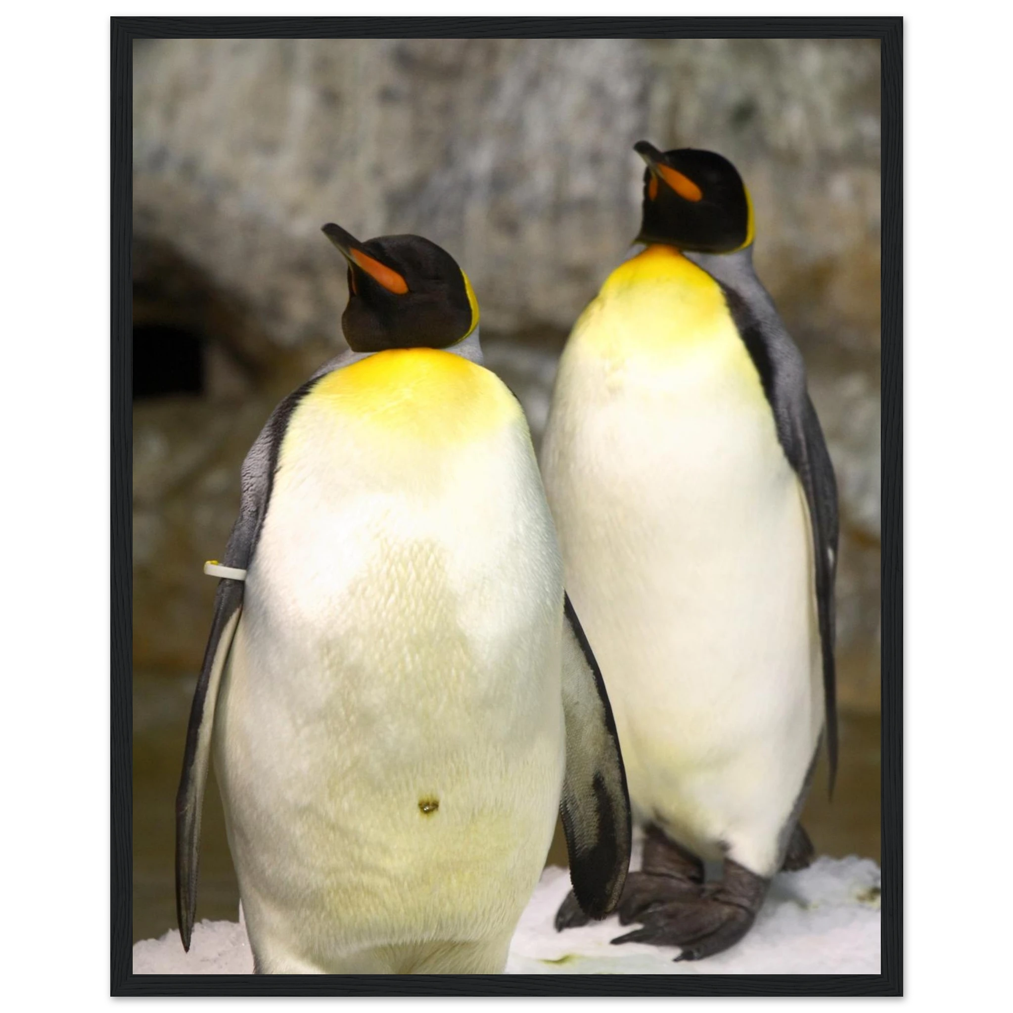 f0cfae3f-27b3-479b-a233-5c8e9d114562