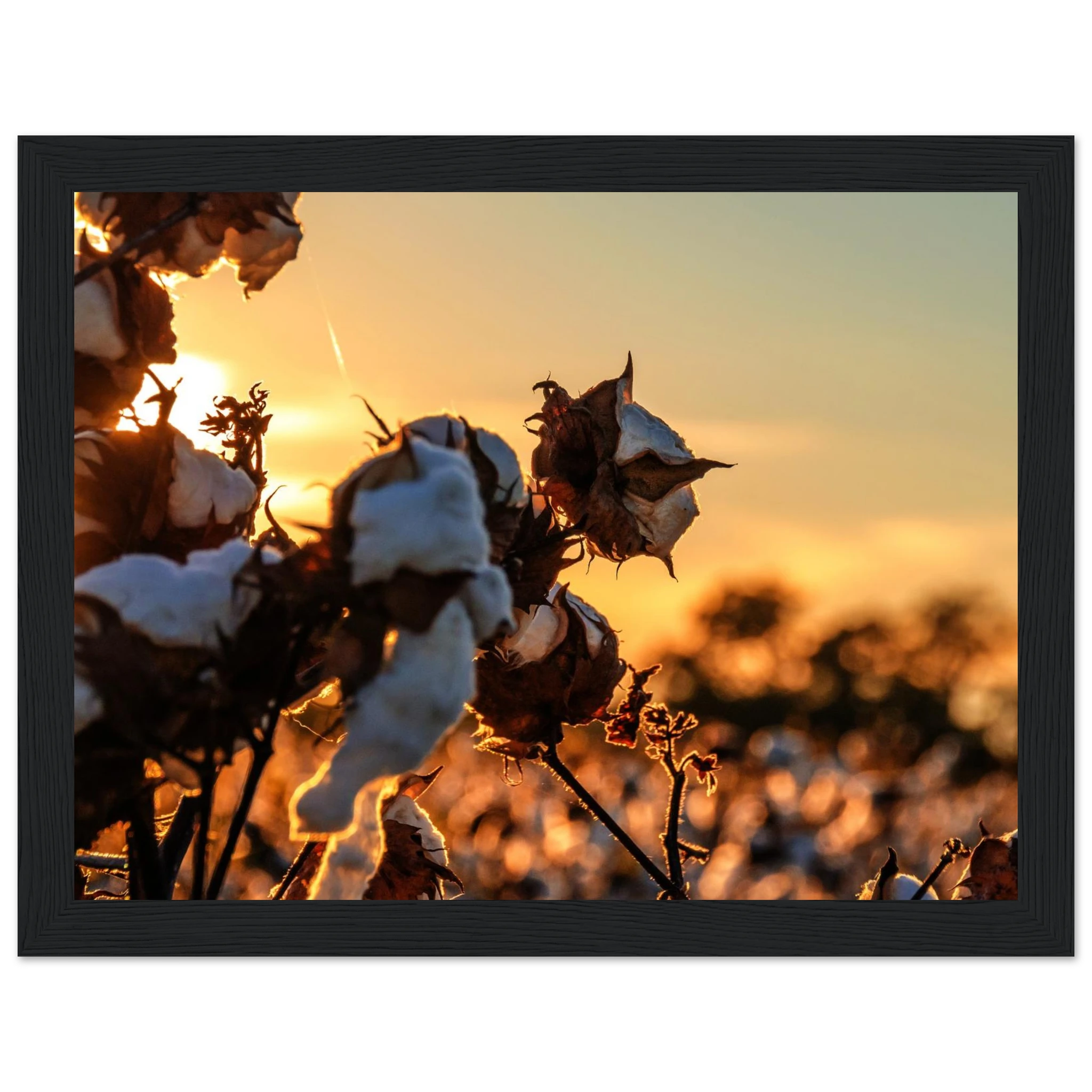 f0d293b1-8676-43df-b4e2-f6624837c30d