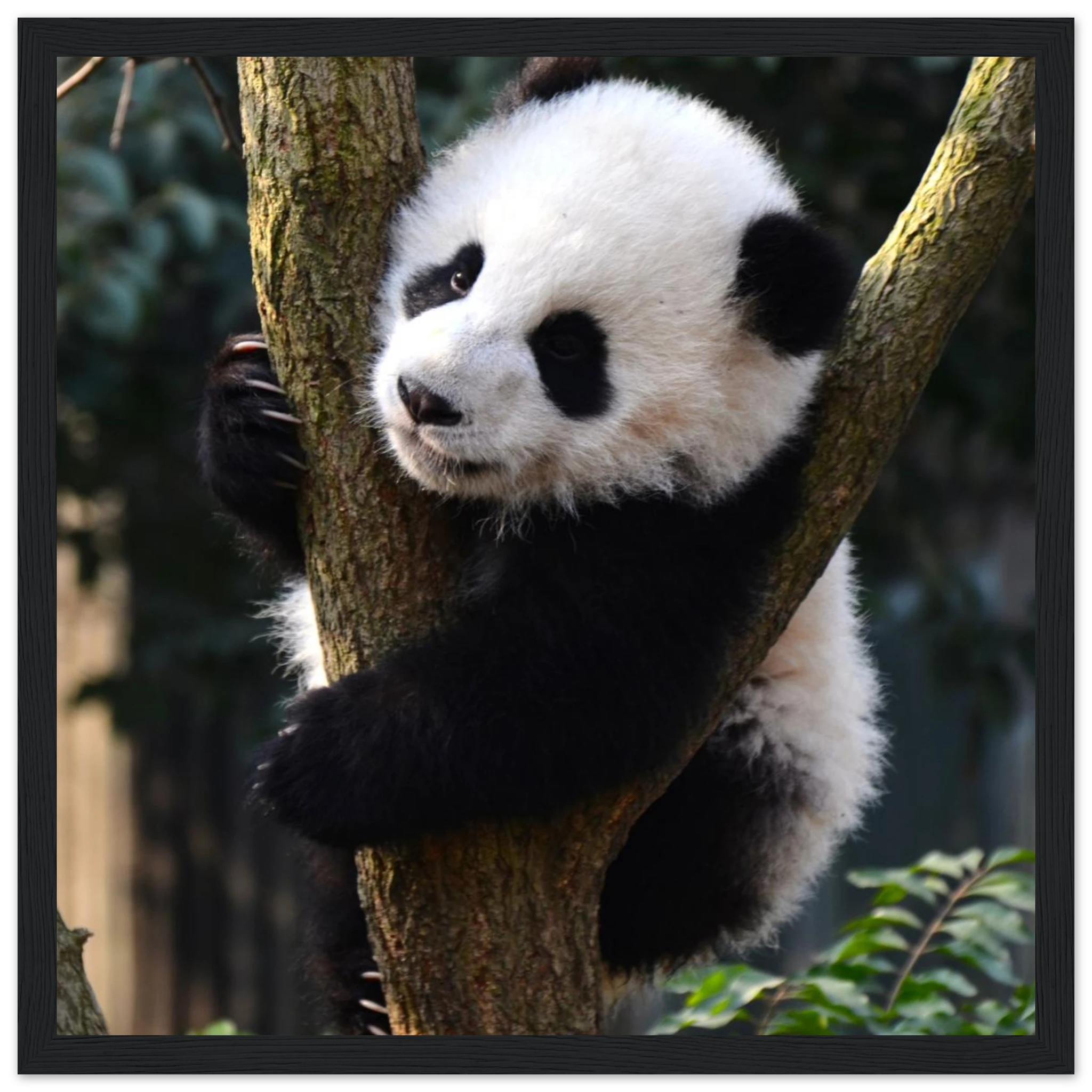 f0dbf403-0511-4d8f-ad64-1508e52da6bc