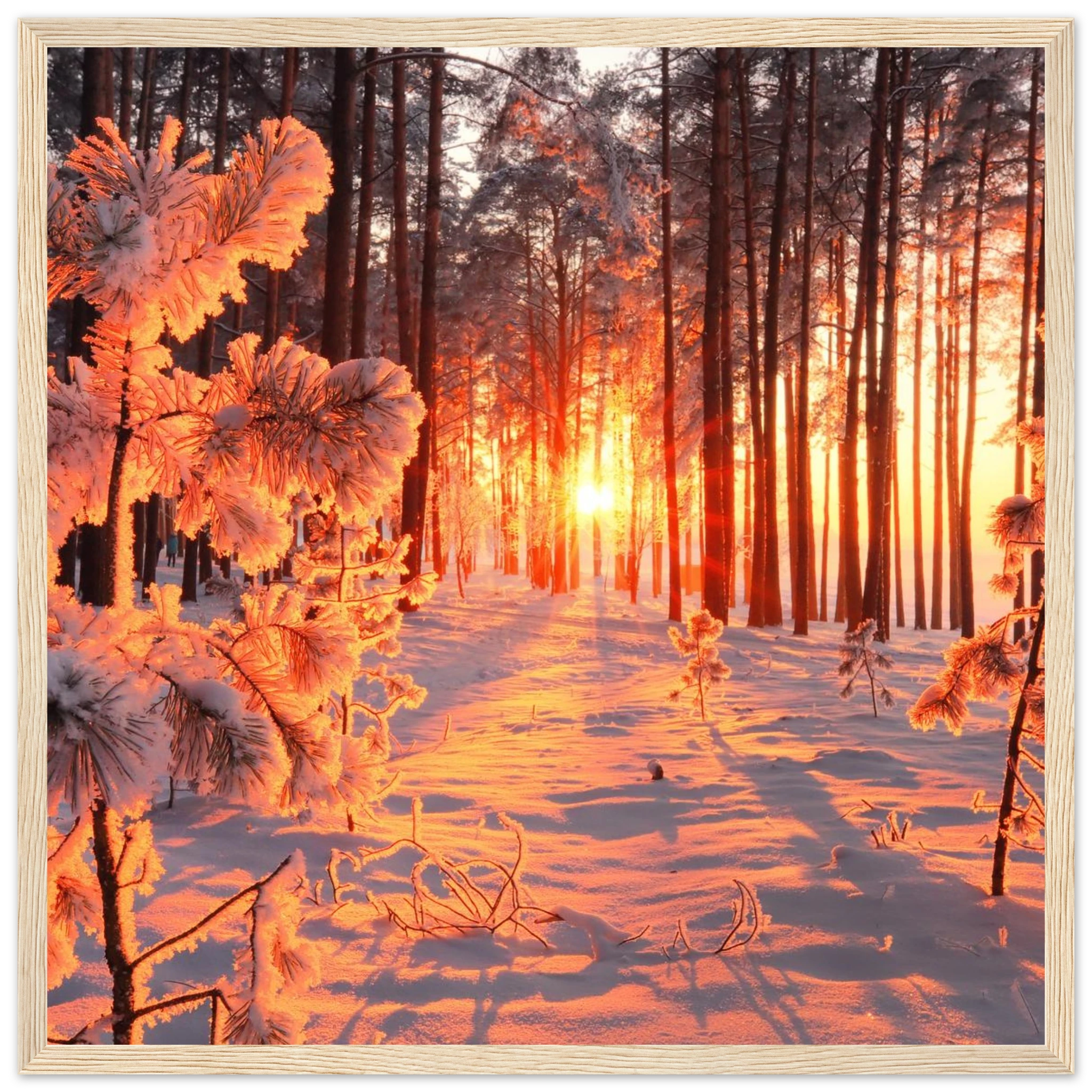 f0f0e11e-c381-41b5-993b-493f19457eda