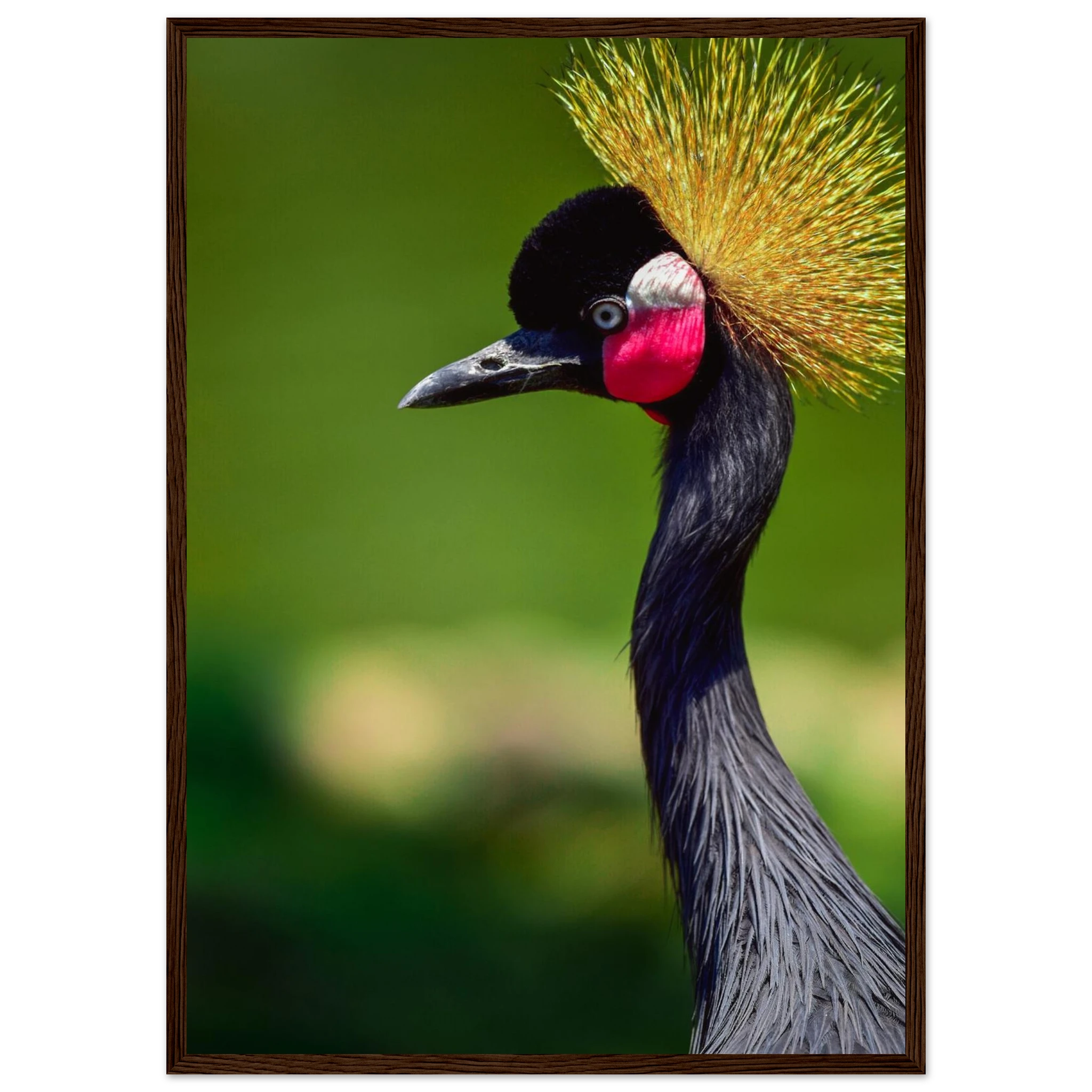 f13d62f7-0981-4b16-8c4b-bcdaadab237e