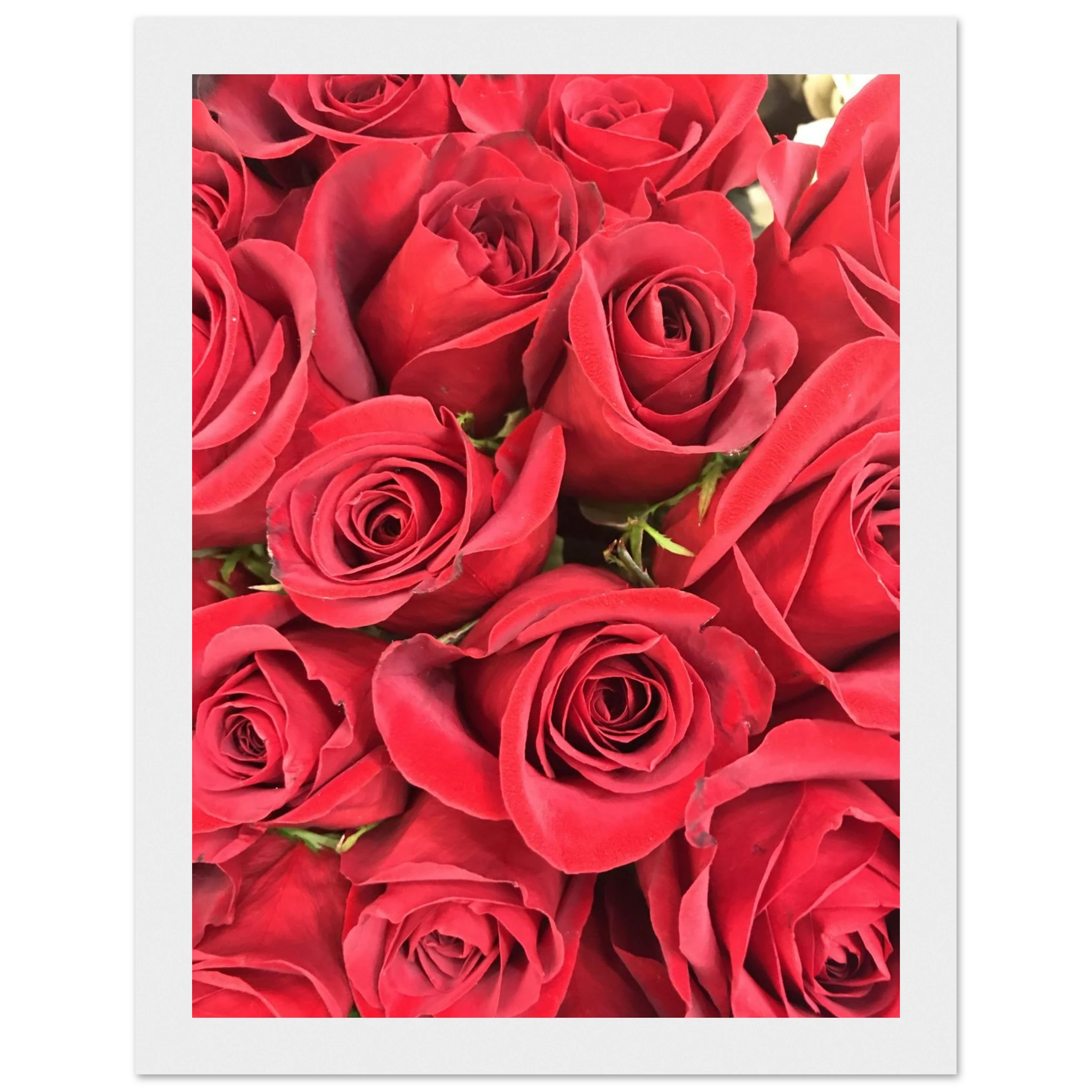 f15a68b9-4f31-42ea-a4ac-53a0903a95cc