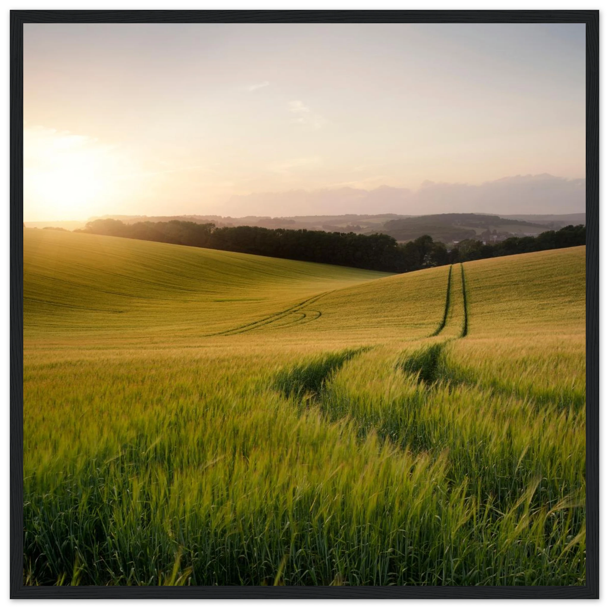 f15ed9bd-b1e0-46f6-8130-1679becc4fbb