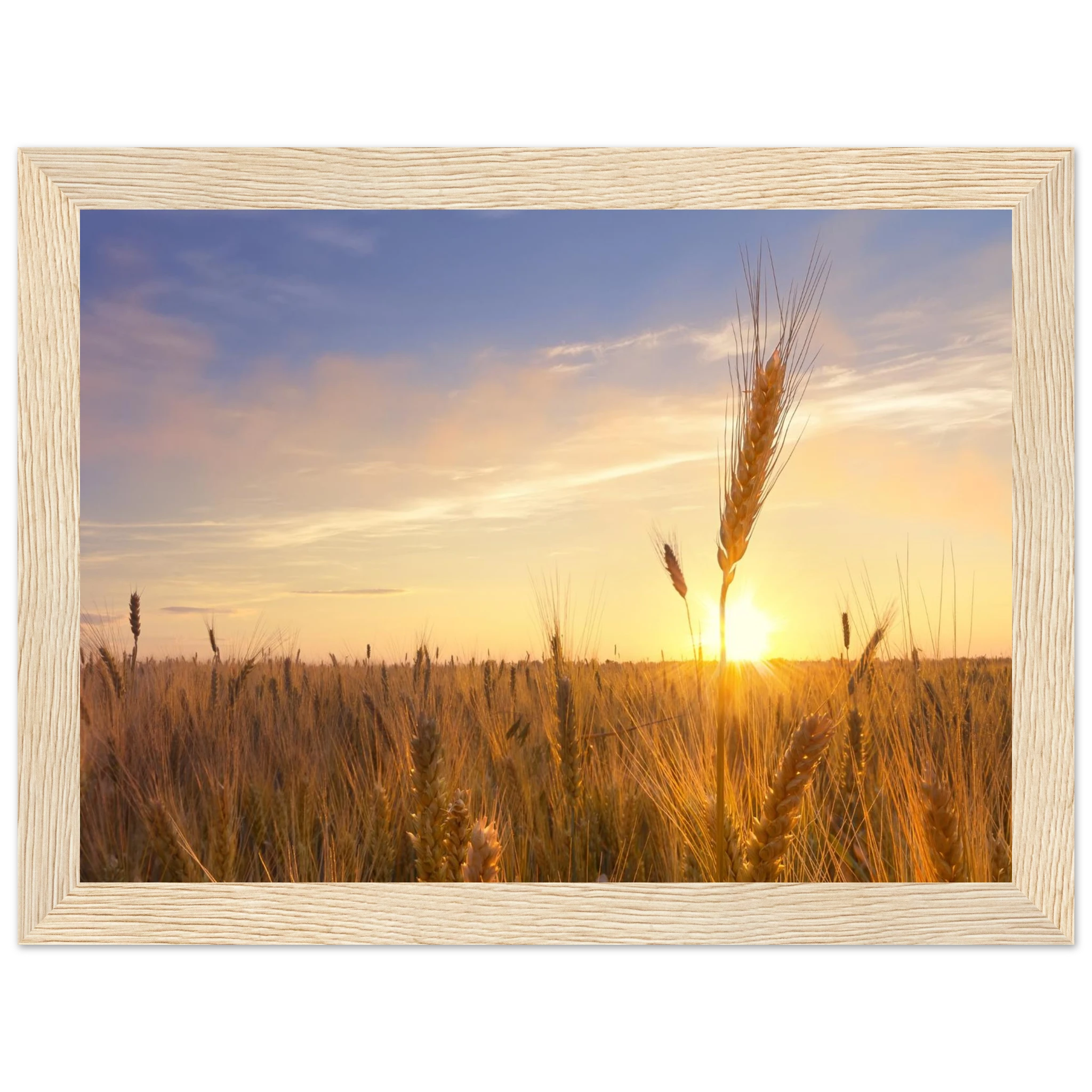 f167894b-46e7-419d-bad5-2be4d66a69c9