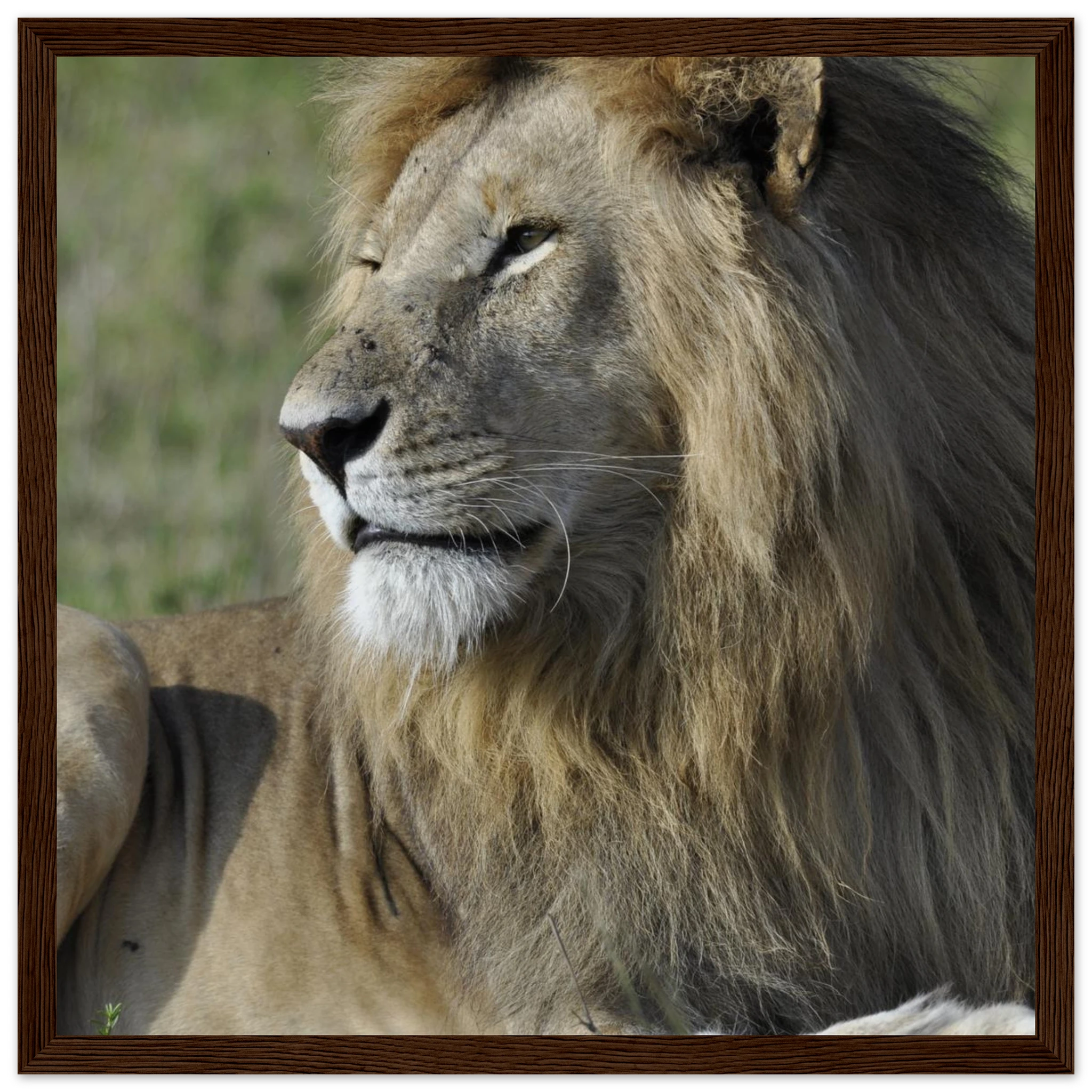 f17d2e2b-d381-48b7-9b88-550a12ec73a9