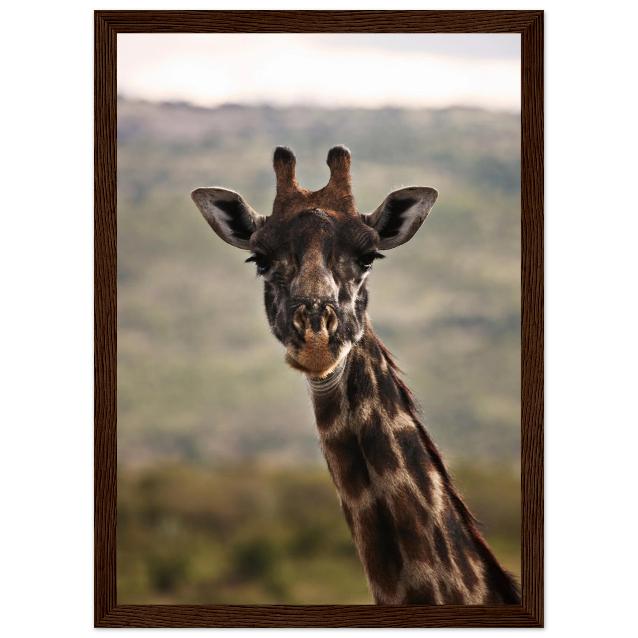 f18d3fd9-7869-40ca-ad5c-6c67f4f54f42