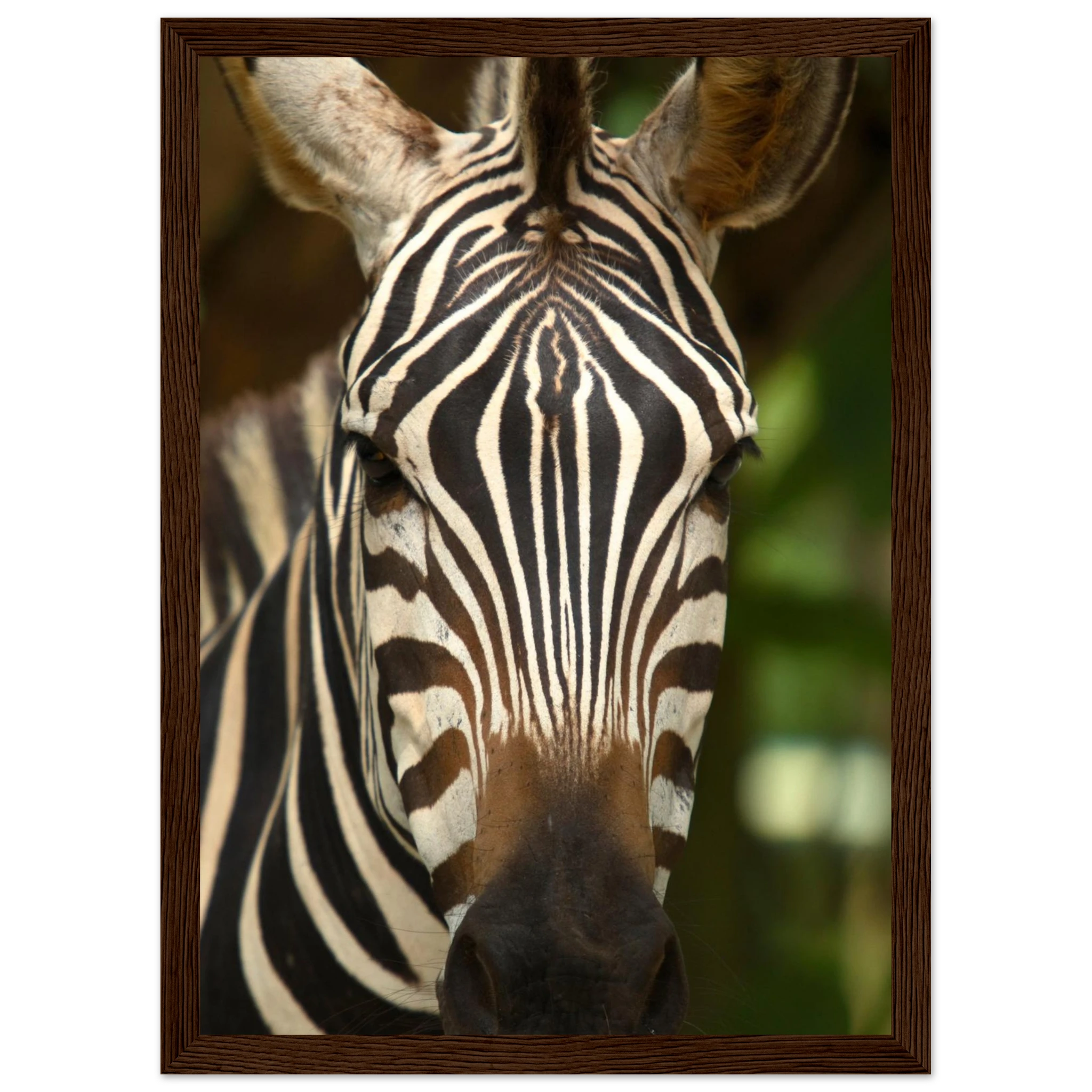 f1b207d9-1897-4e8f-92ce-84cb9f53f6cb