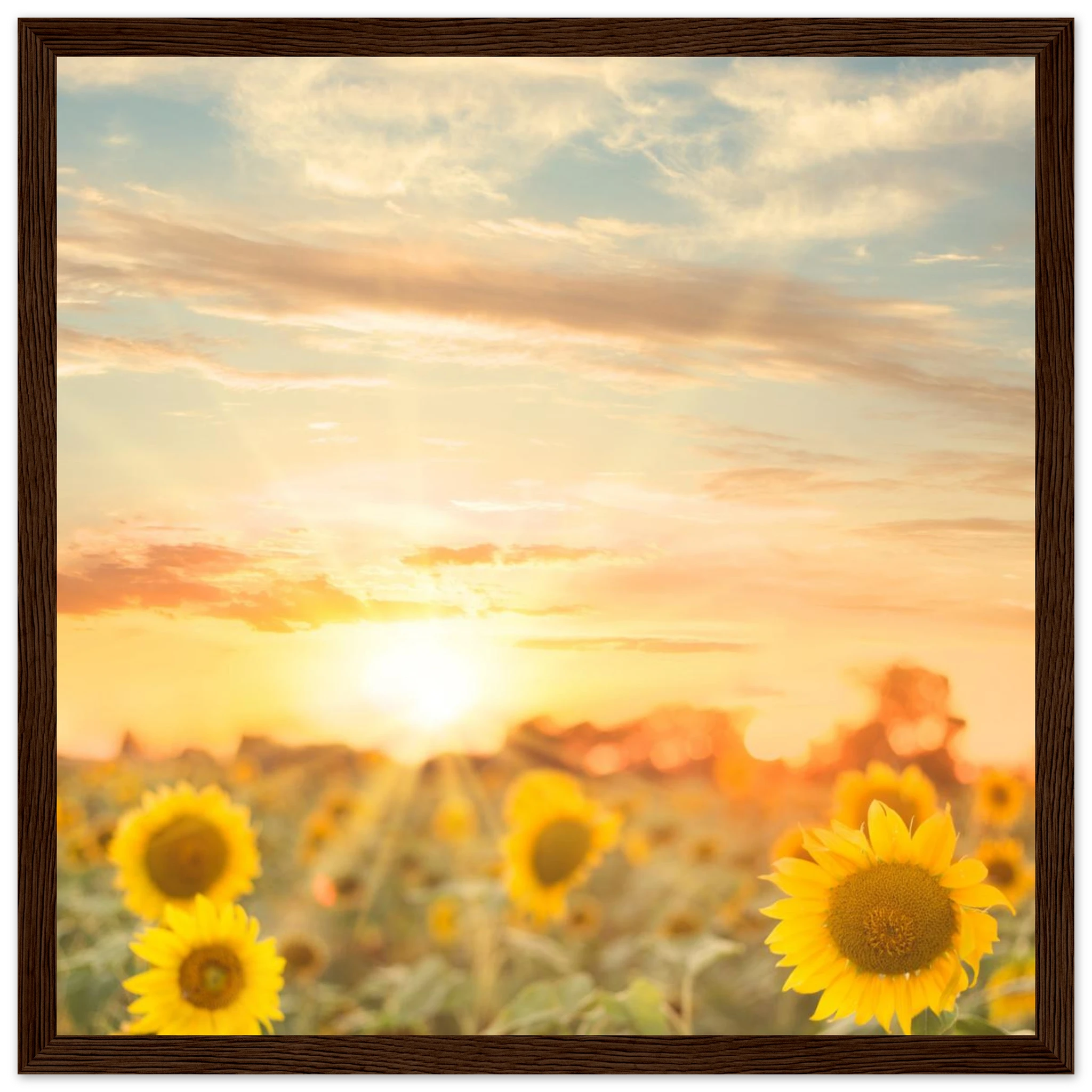 f1b2ba44-e35e-45ce-b825-15e55b8a9164