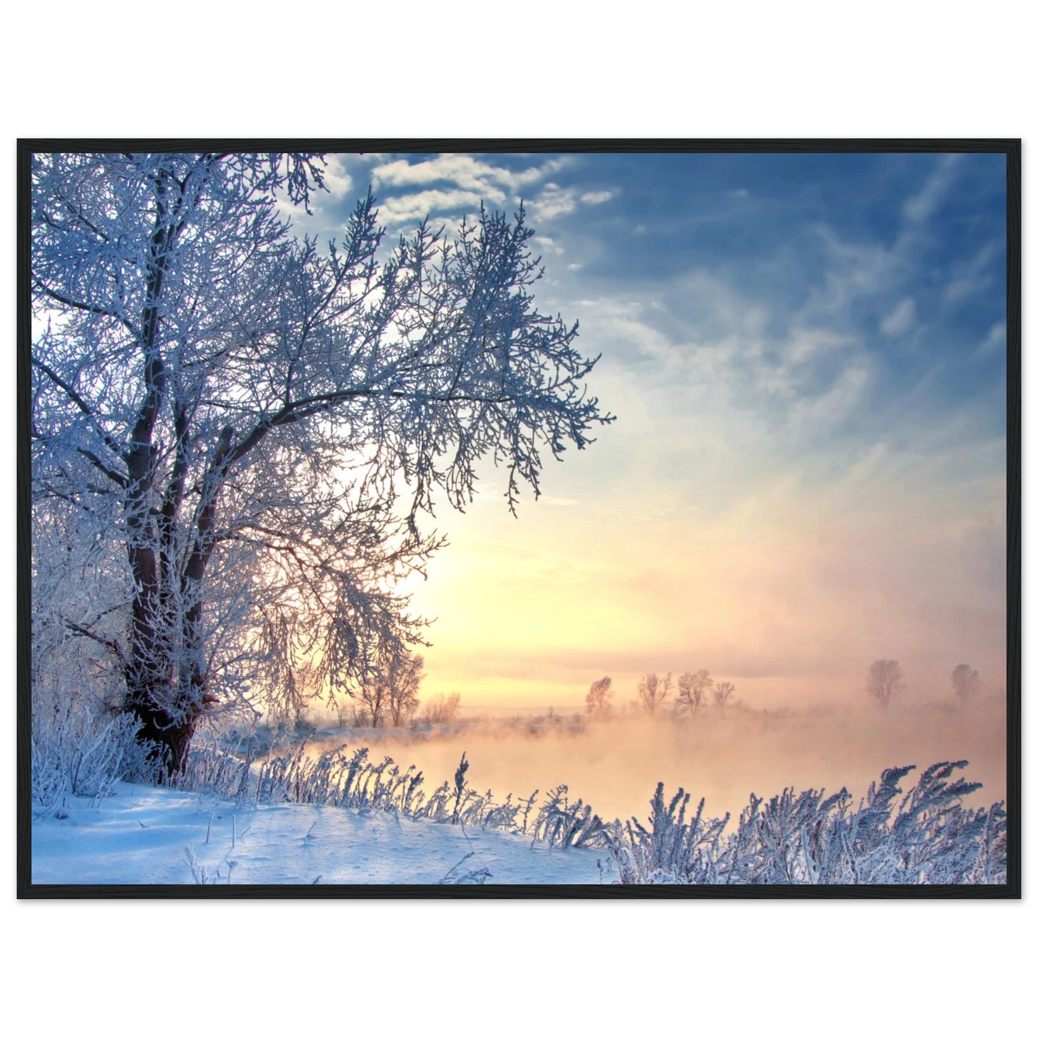 f1cafad9-58e7-4f68-8e84-29396a56597e