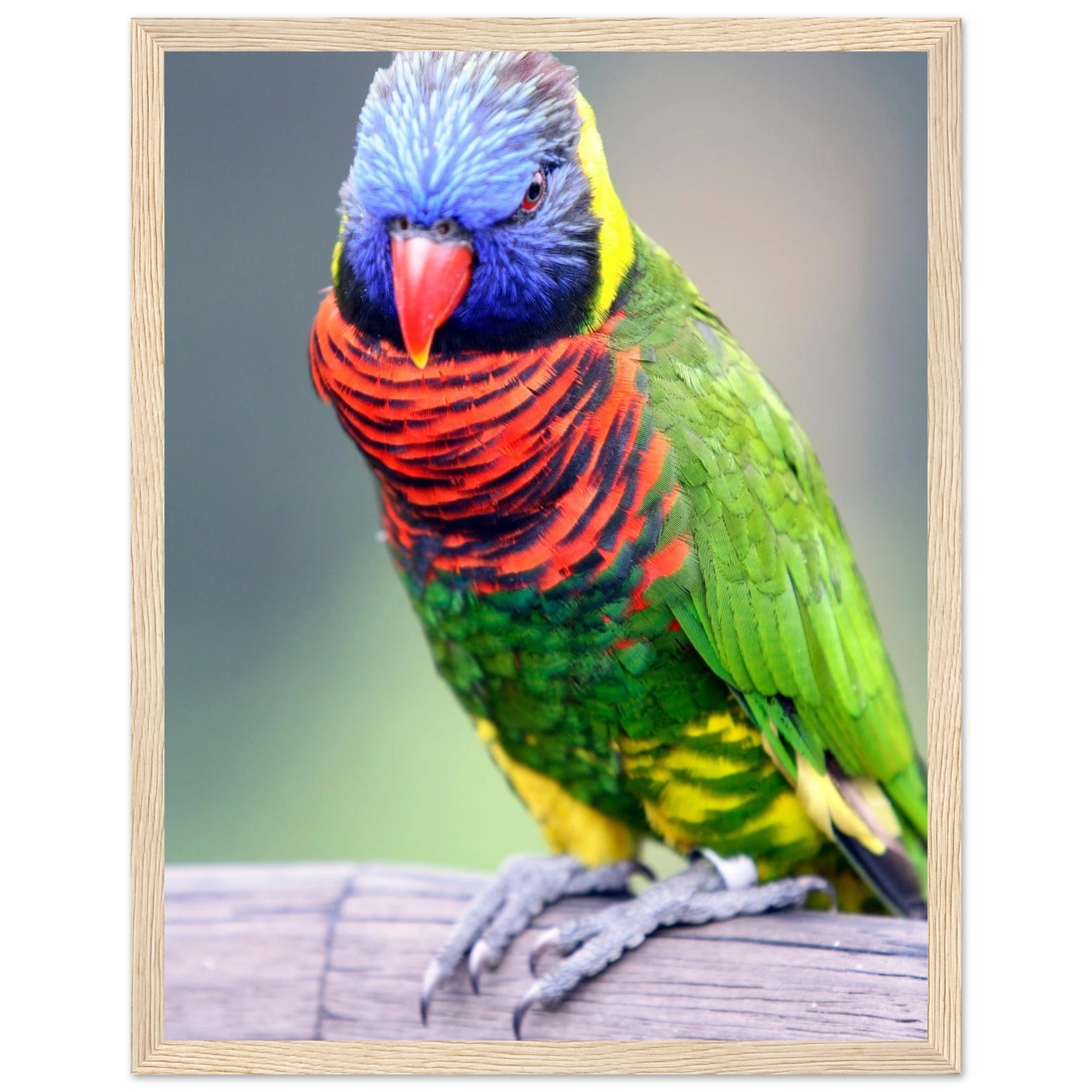 f1d7af97-01fc-465a-8c8e-68d889af924c