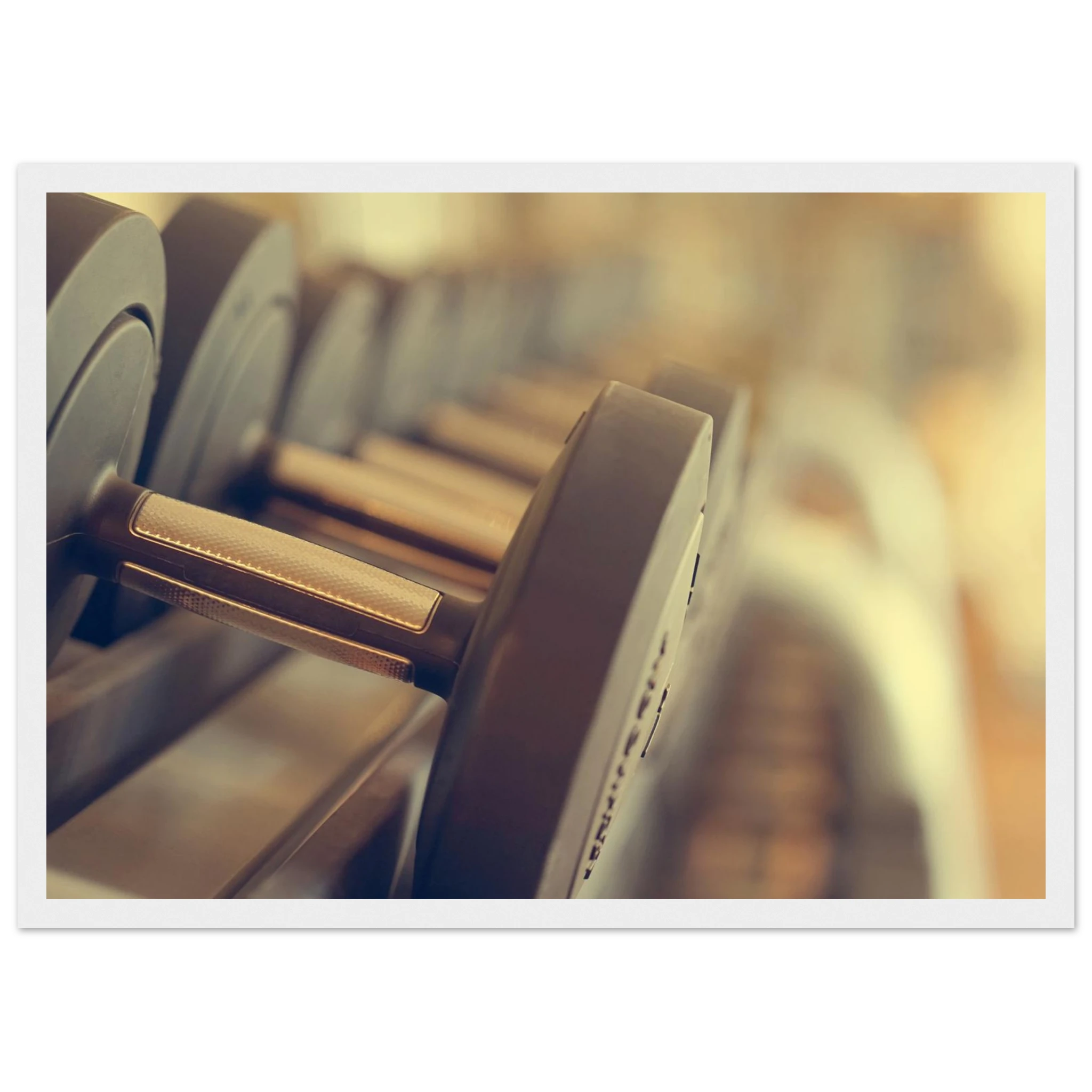 f1df3298-67cb-4876-a315-d6d0dd1f2ca3