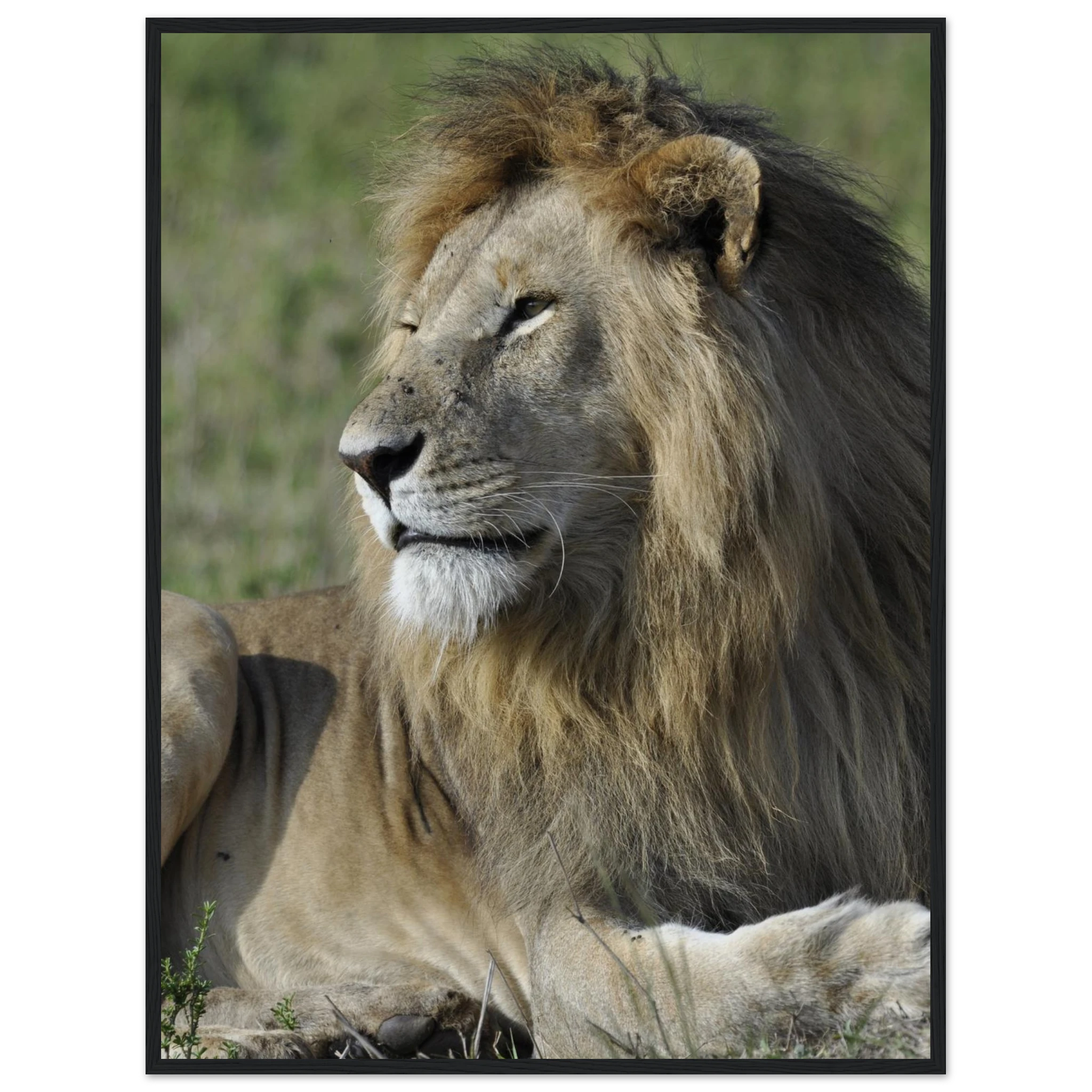 f1eb2b14-dbb7-4ec1-a73f-8c9e8517c432