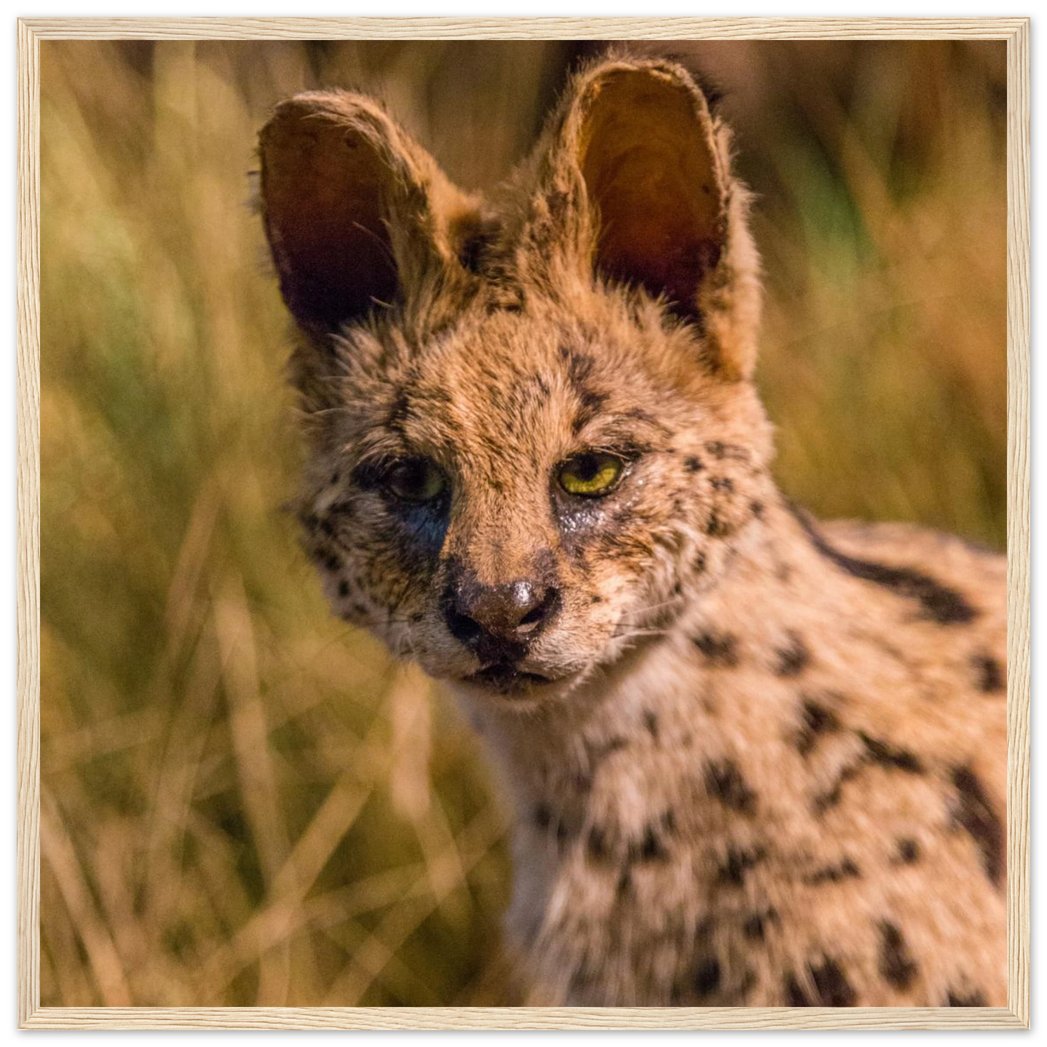 f1f9e141-6edc-490c-b381-7df5420af5c8