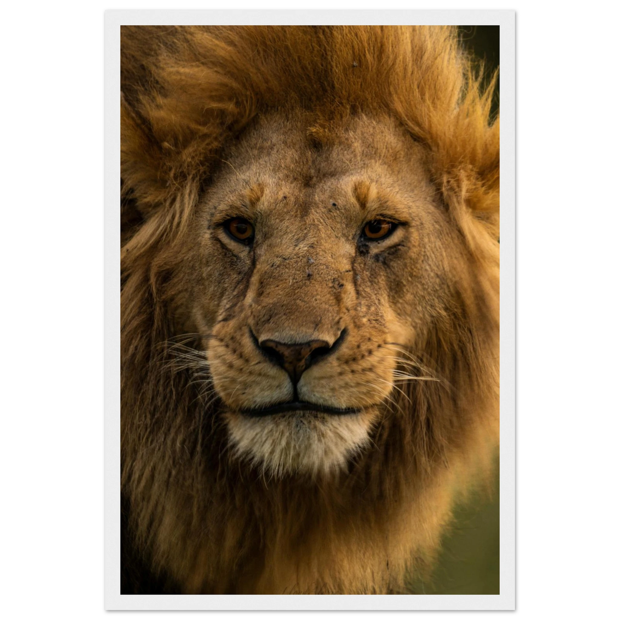 f2068514-0748-4e4b-af08-059b14a88b51