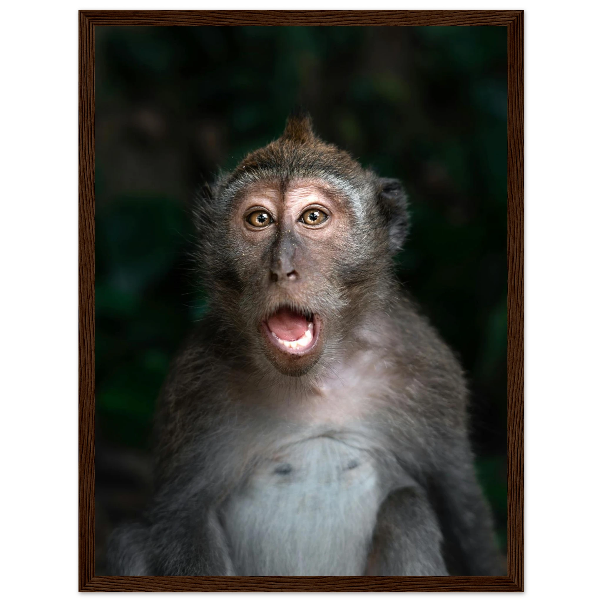 f21986e5-d247-4043-a0ee-91c7c0713dbd