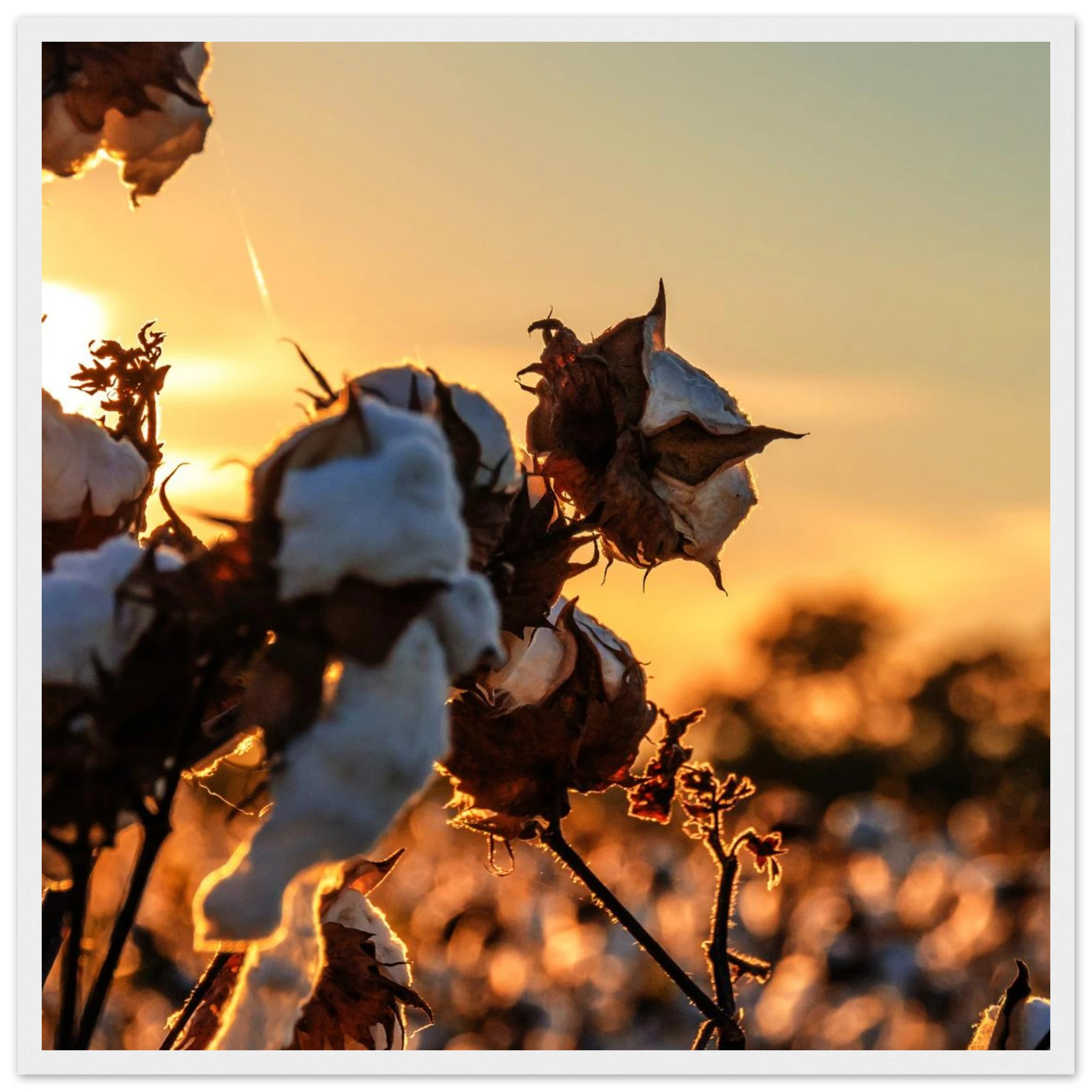 f23931dd-c0c1-4afd-a507-e497e7cb17a9