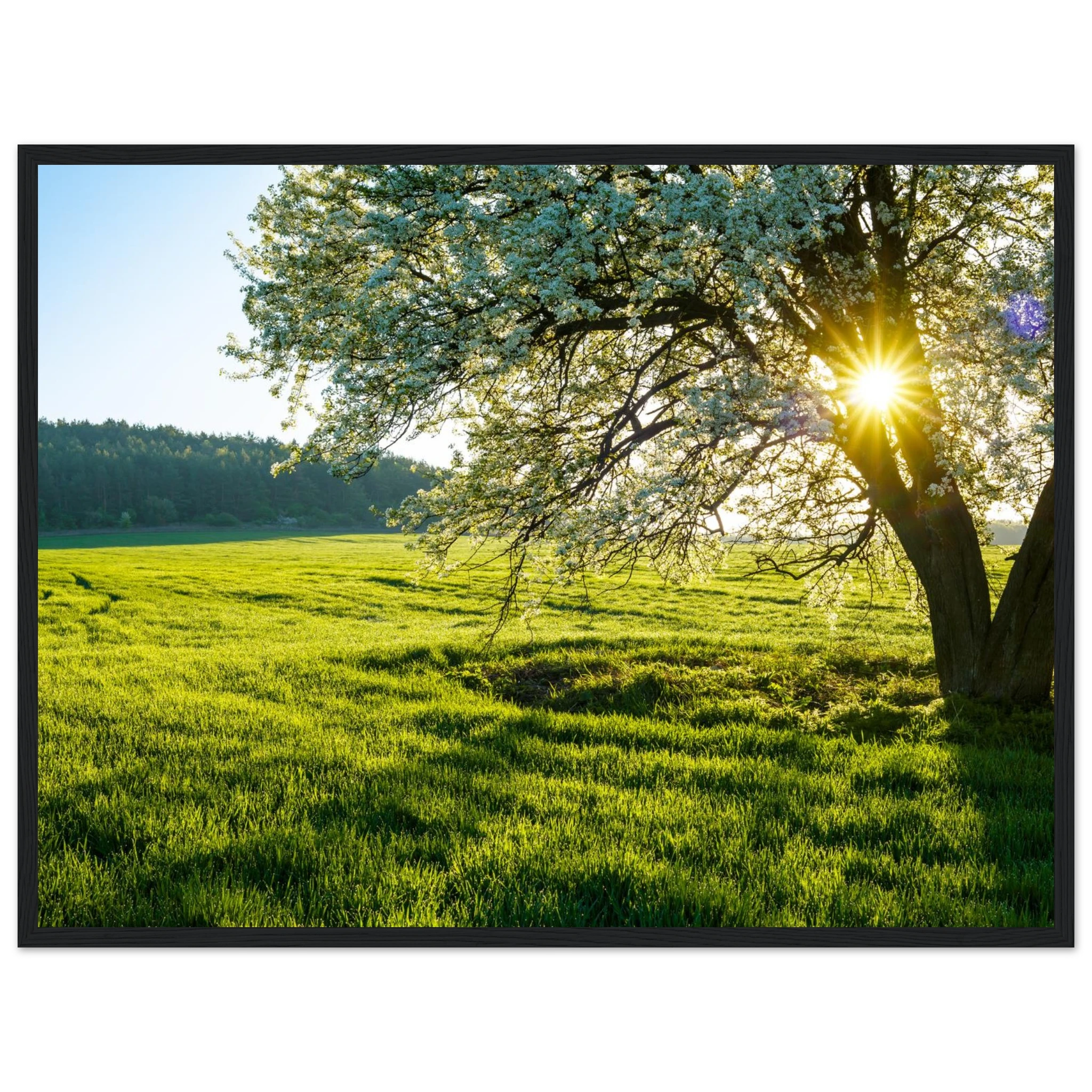 f23fd54e-d835-4bfc-84fa-12c74a361977