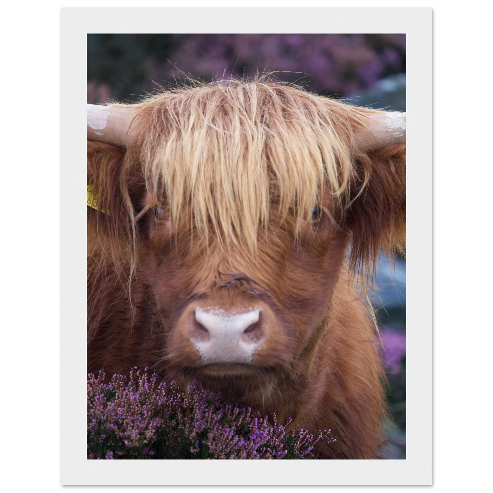 f25b186f-17b9-4fc3-9824-7f0d3f94a3ad