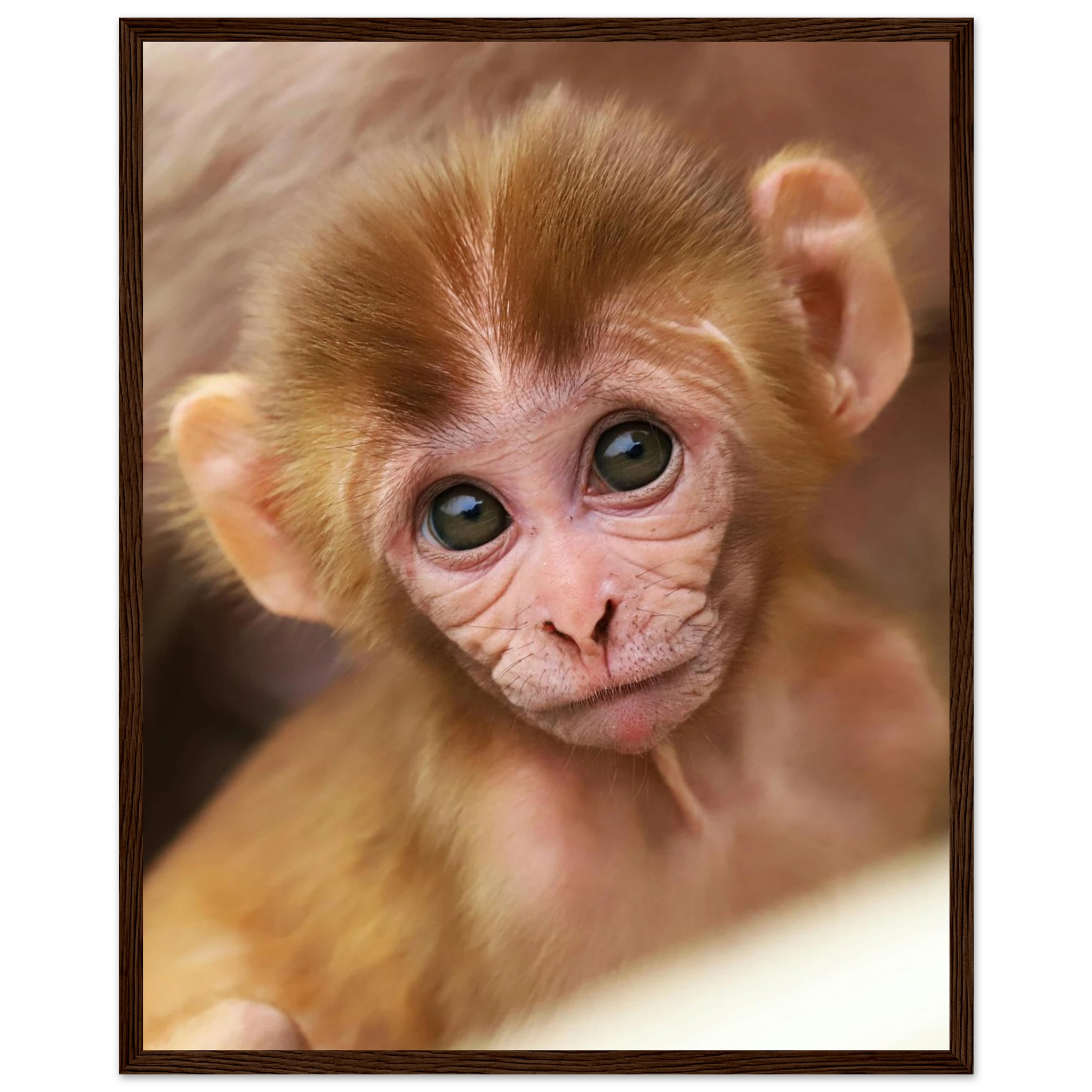 f28e5429-d6b1-48ac-9e3a-39c8728c6ef2