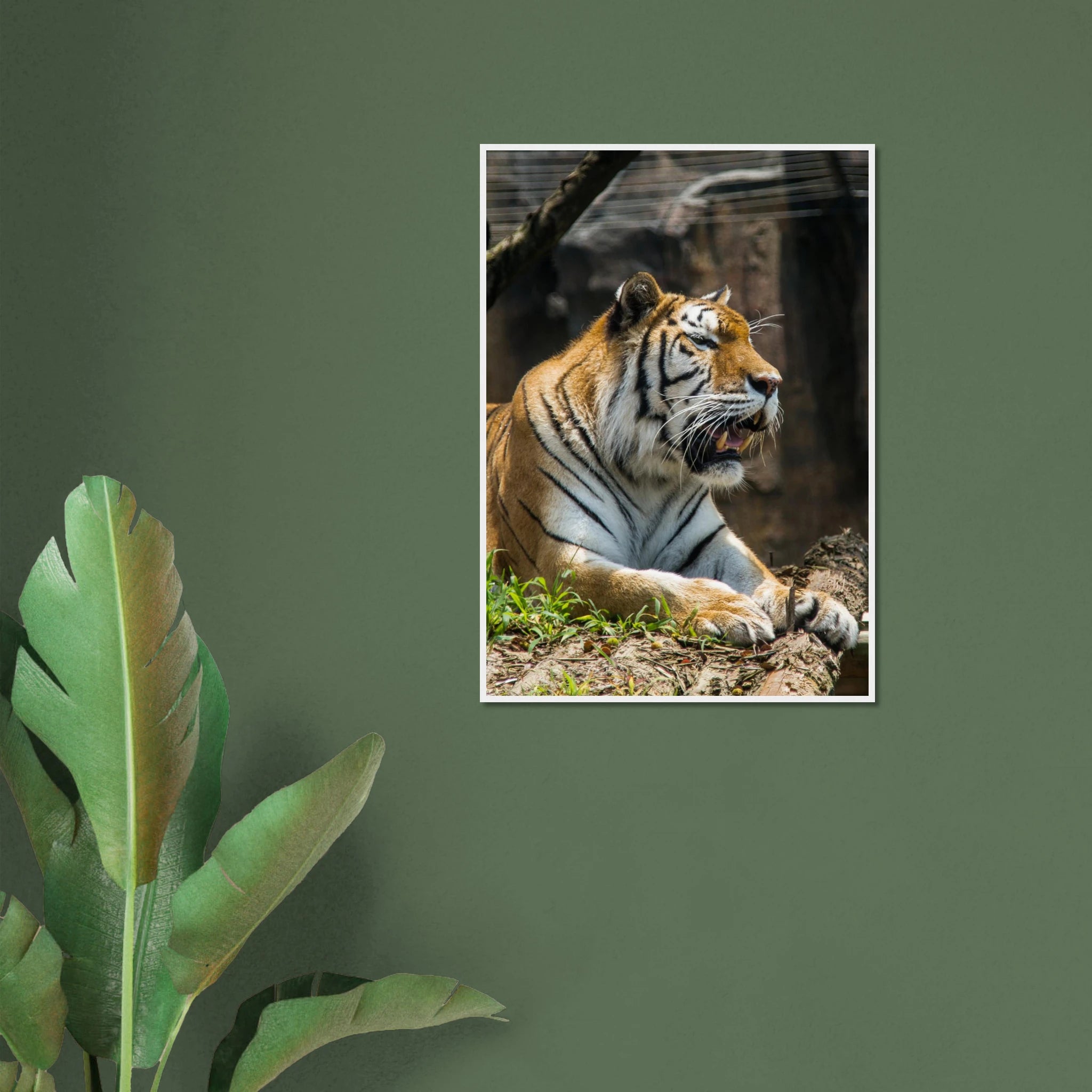 f28ee646-87ca-487c-9090-5ad487425ee2