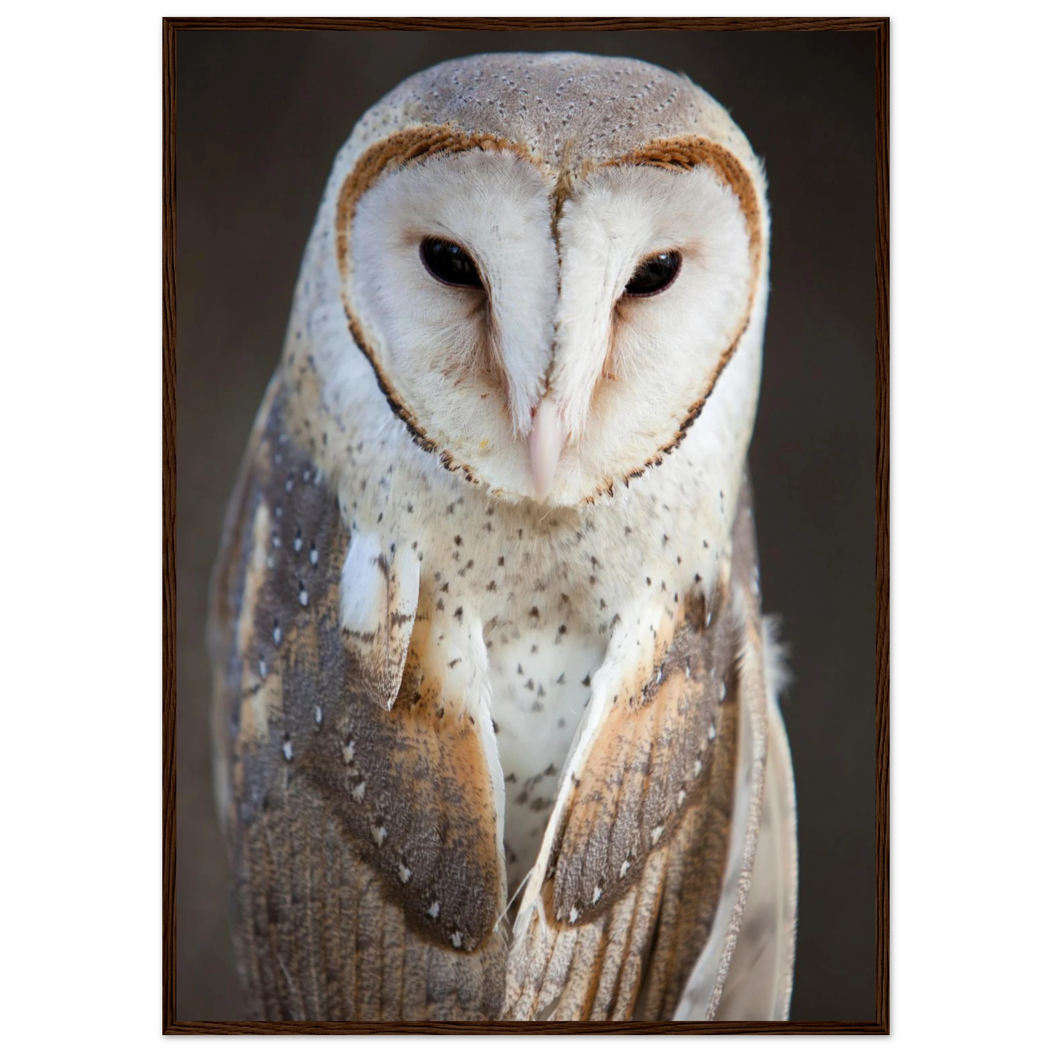 f295e991-e7f8-4917-a6fb-aad8a66f5b71