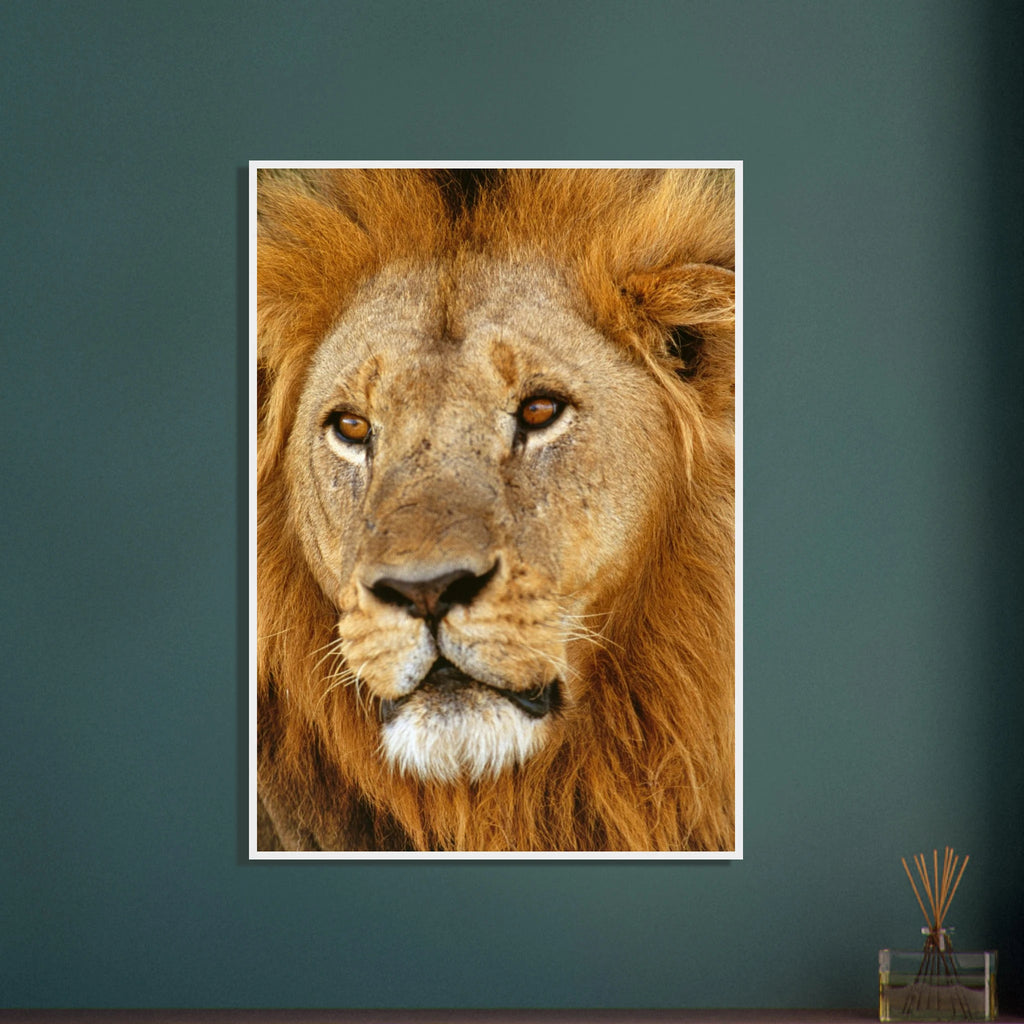 f2a43183-600e-4d3c-b324-2da77b519327