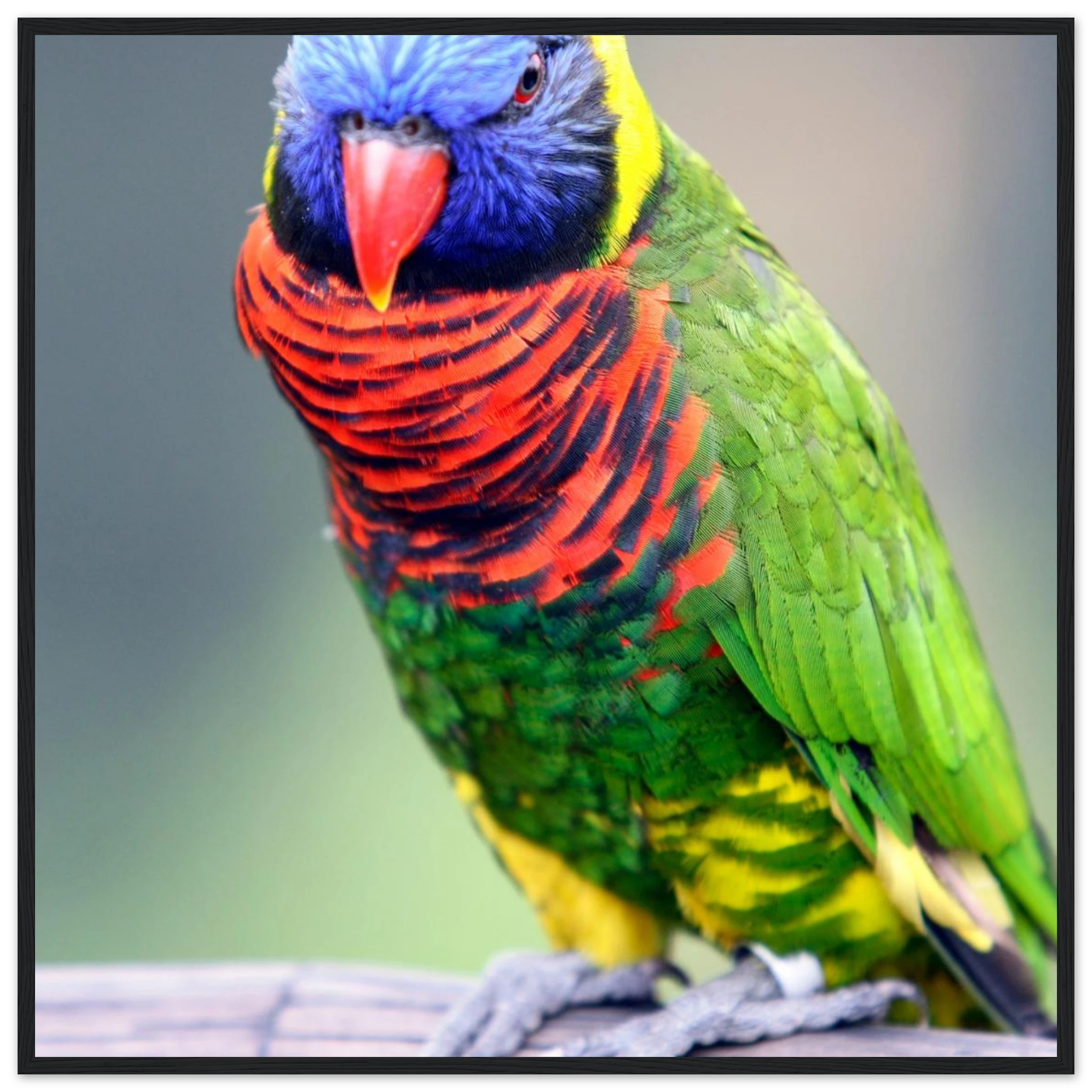 f2aa30ae-99a3-49bf-9fd3-fc407d323244