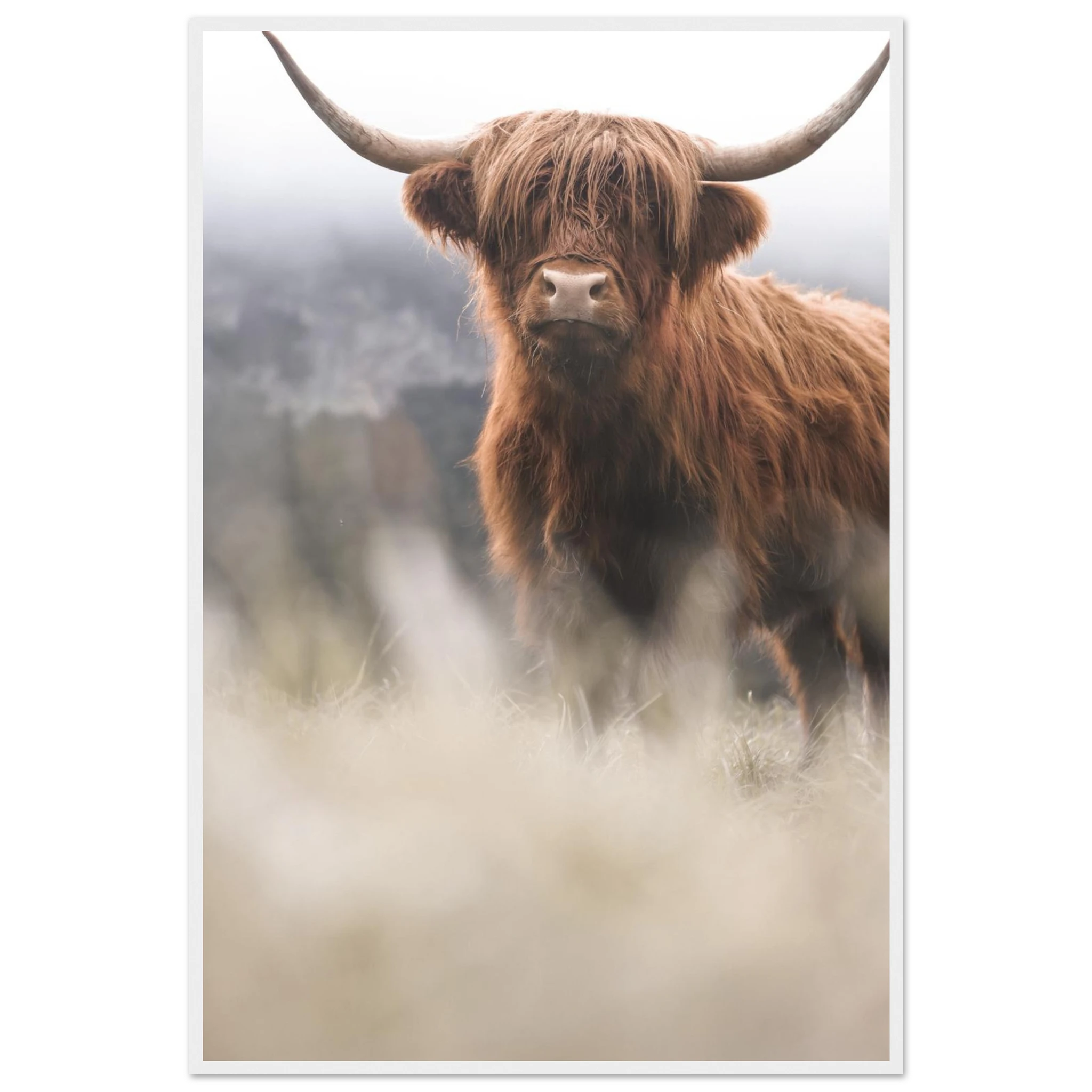 f2b8586a-6d58-4877-ad7b-ea0219667c10