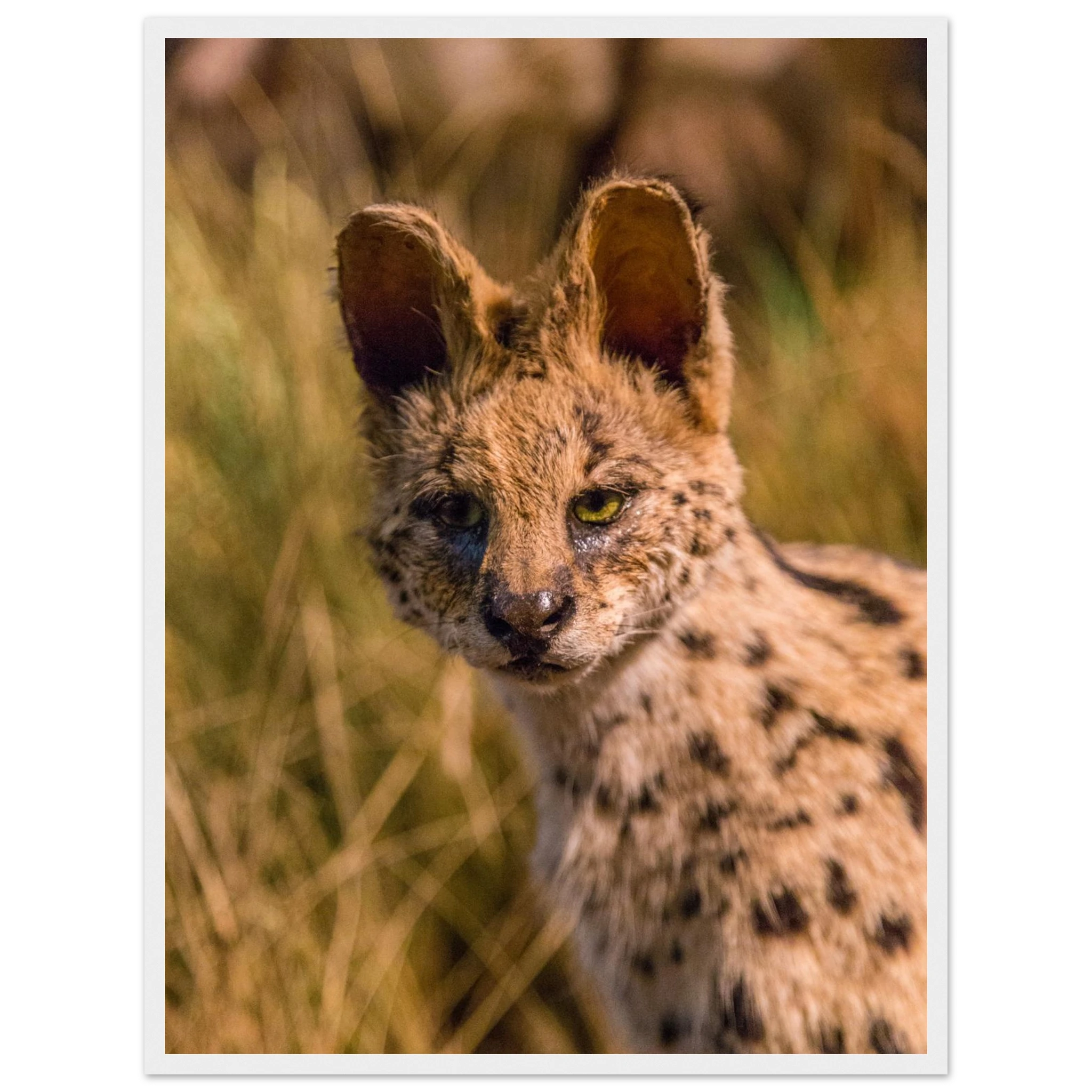 f30f205c-0b2c-4620-bce2-01d36b577936